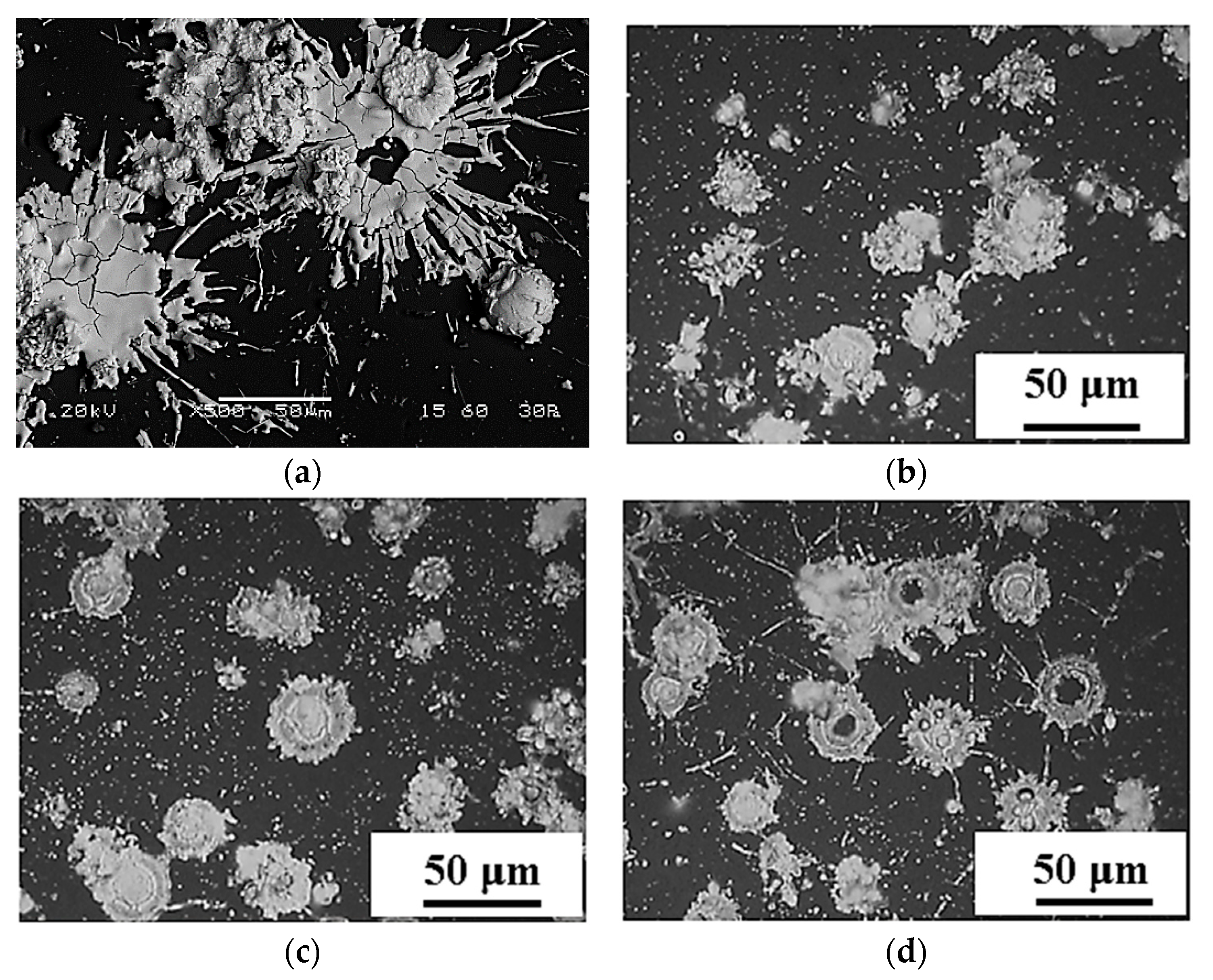 Coatings 11 00682 g014a