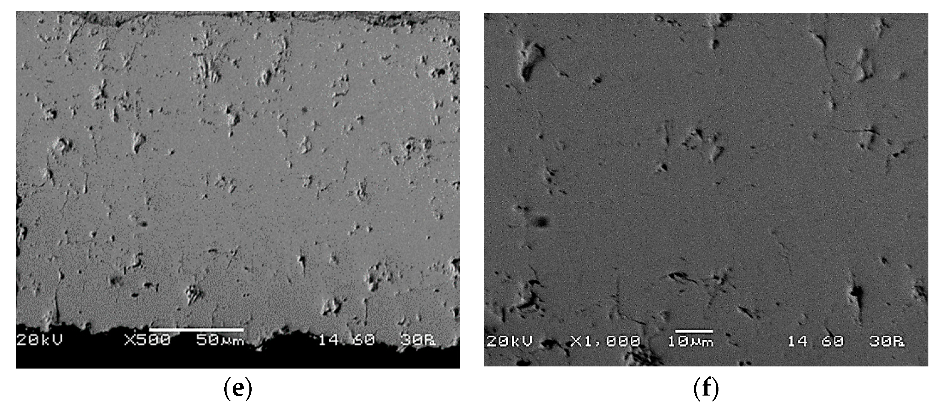 Coatings 11 00682 g014b