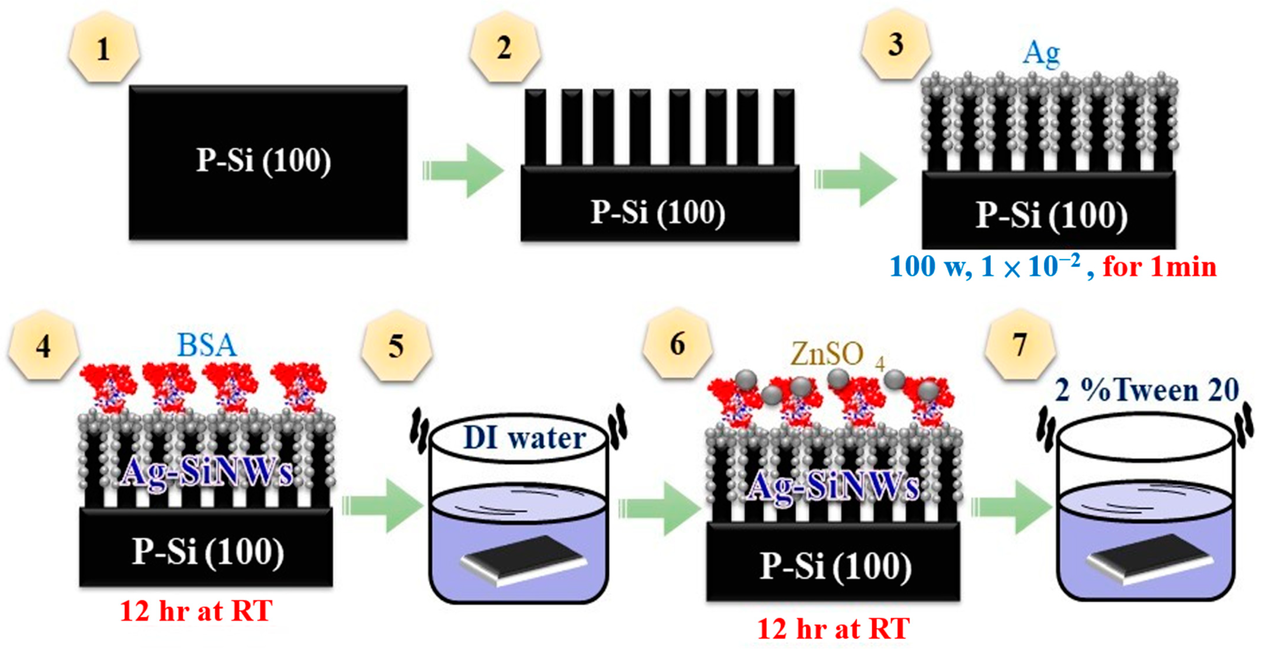 Coatings 11 00685 g001