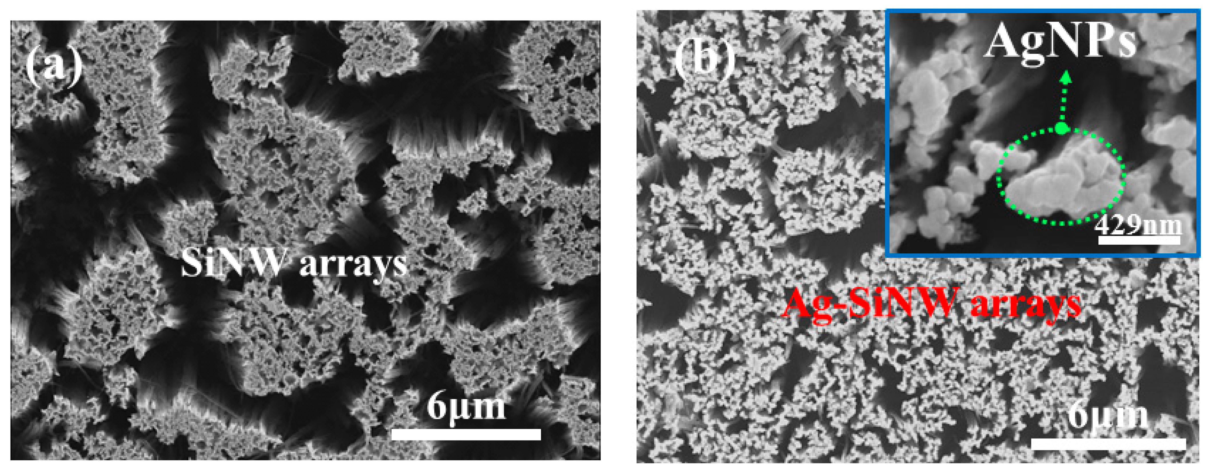 Coatings 11 00685 g002