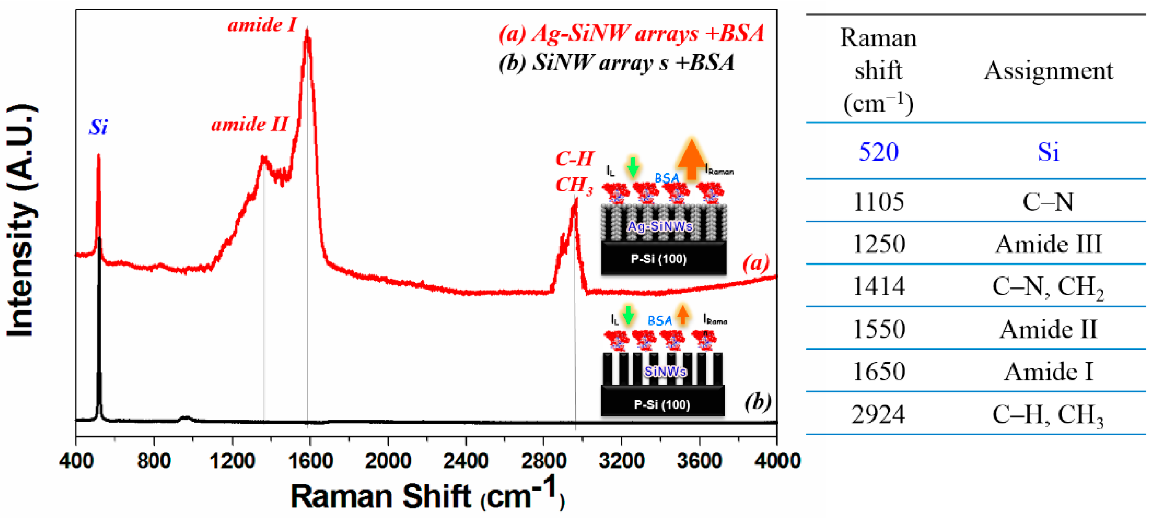 Coatings 11 00685 g011