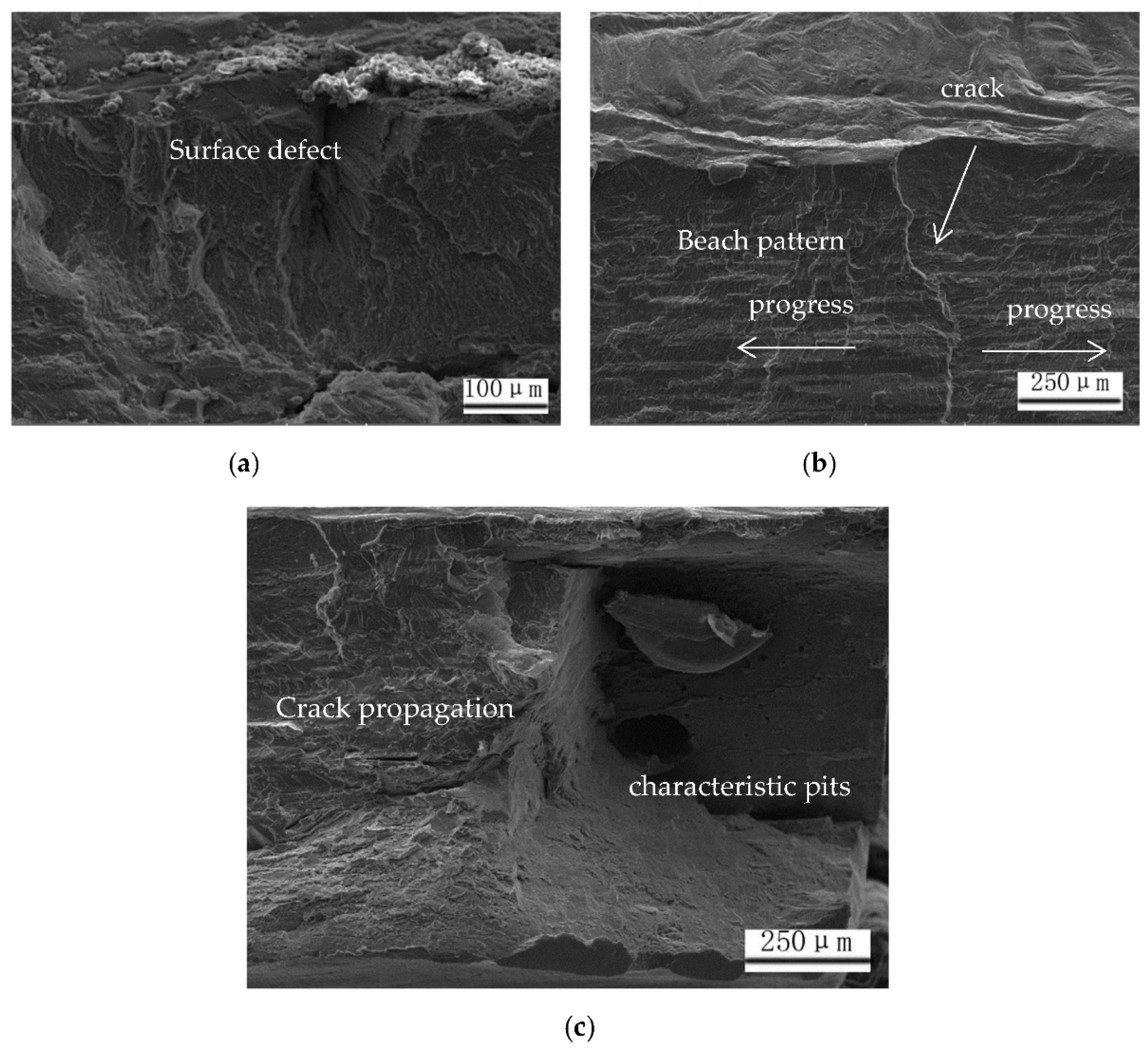 Coatings 11 00693 g008 Coatings 11 00693 g008