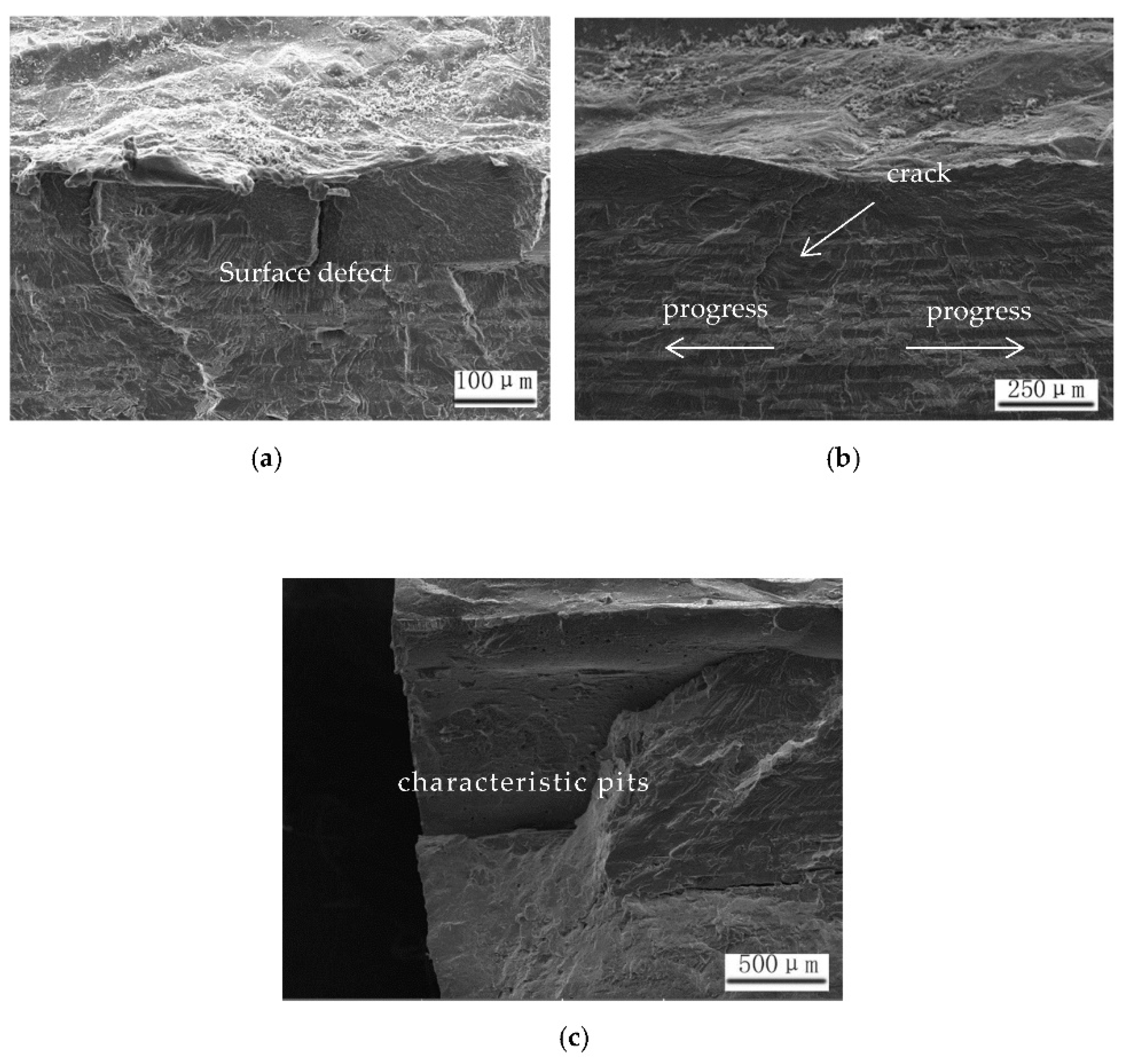 Coatings 11 00693 g009 Coatings 11 00693 g009