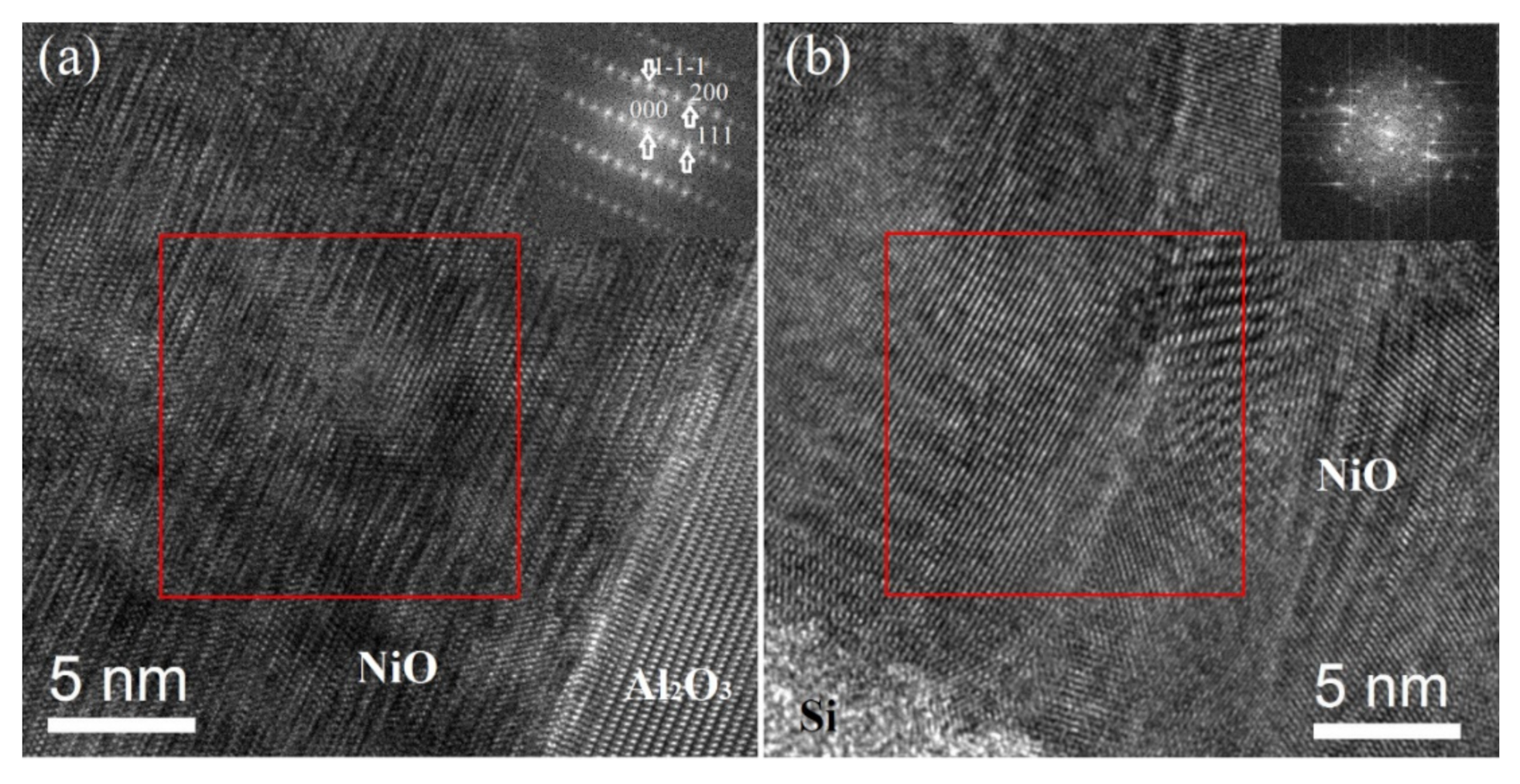 Coatings 11 00697 g006 Coatings 11 00697 g006