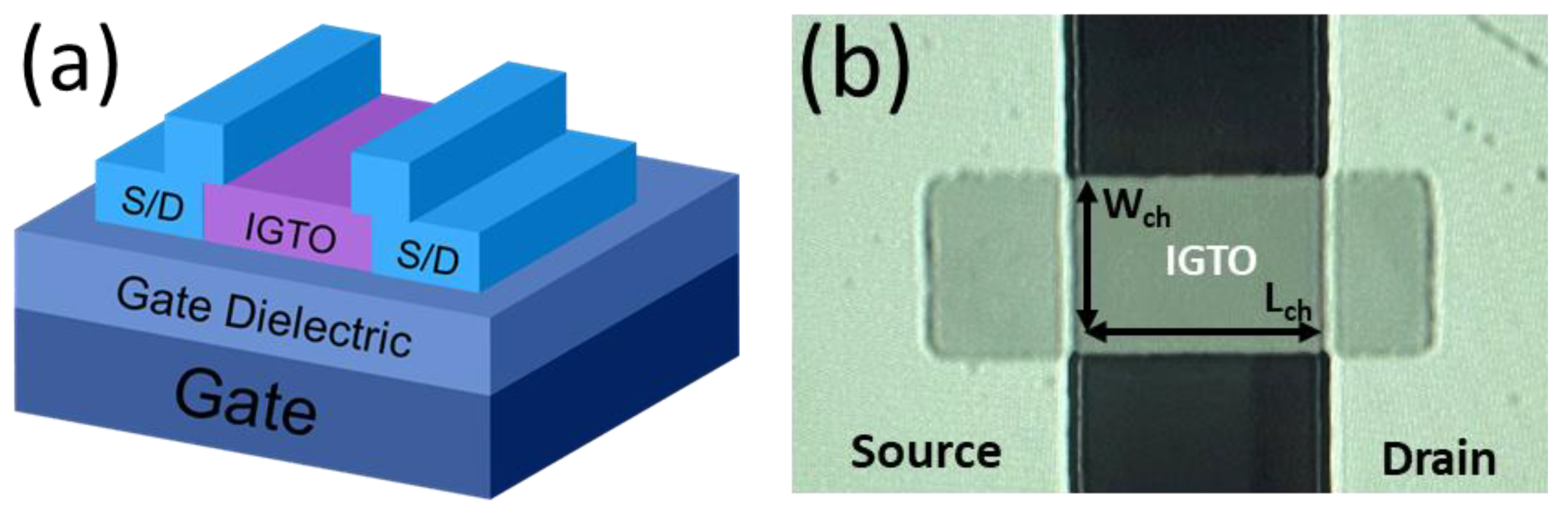 Coatings 11 00698 g001