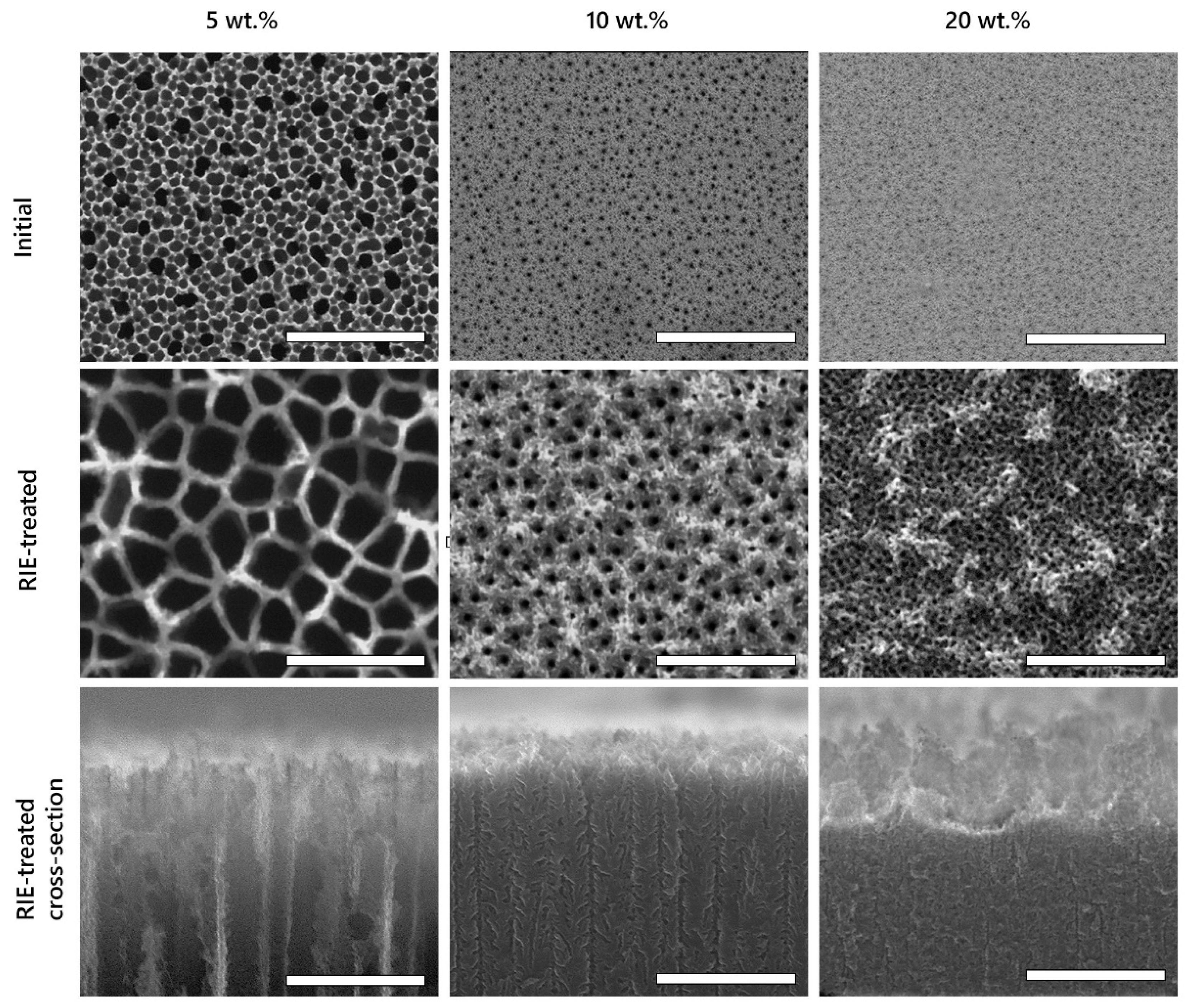 Coatings 11 00699 g002