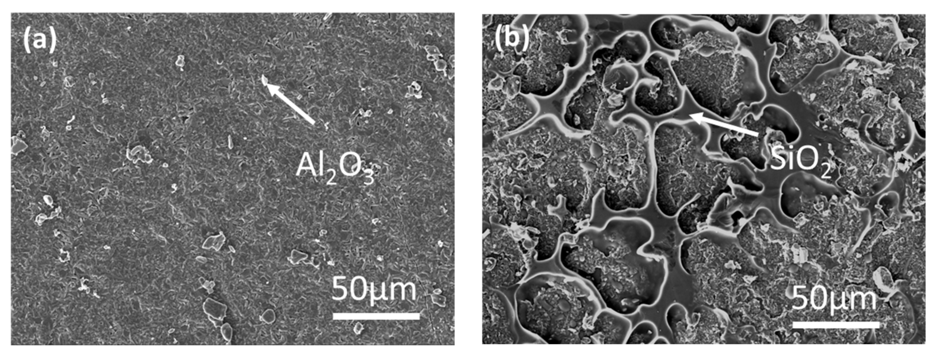 Coatings 11 00700 g002 Coatings 11 00700 g002