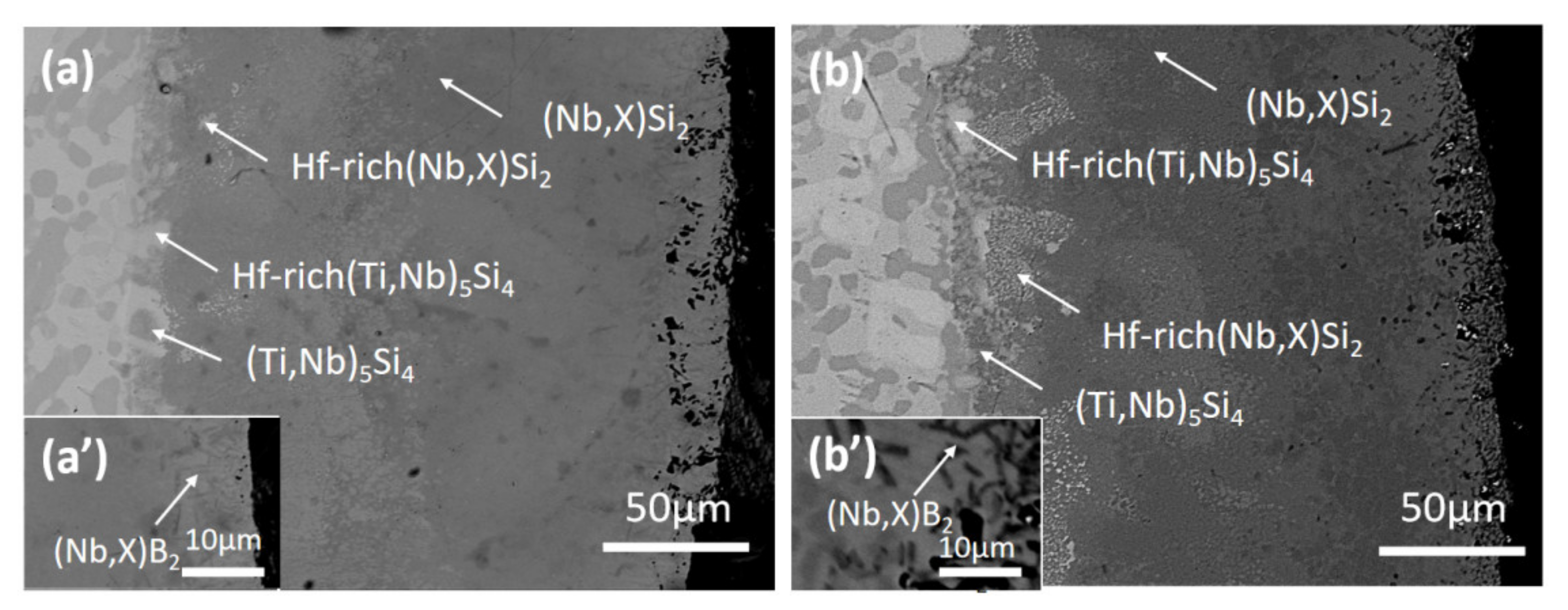 Coatings 11 00700 g003 Coatings 11 00700 g003