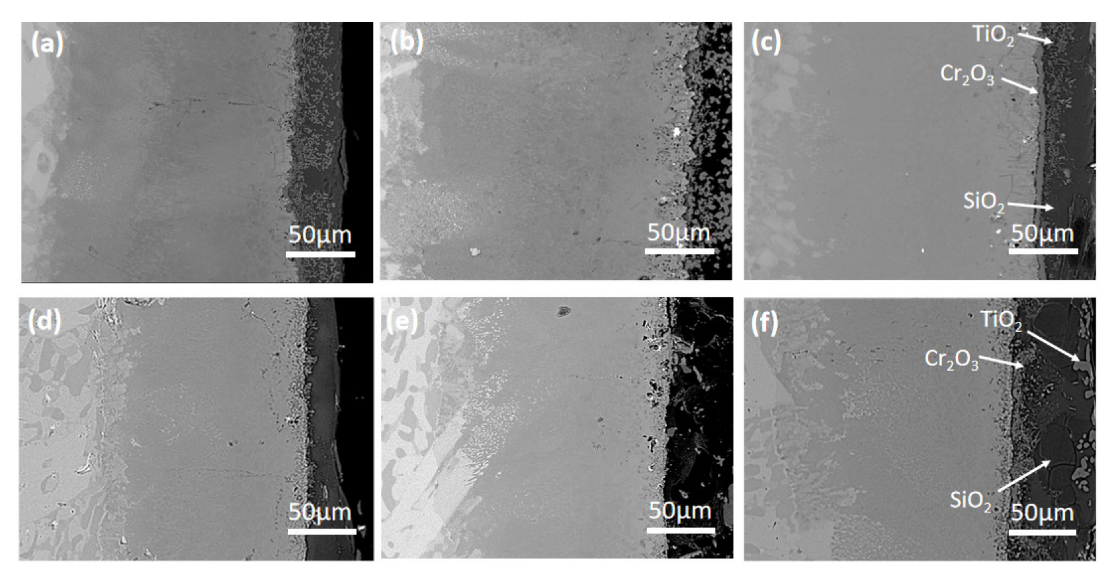 Coatings 11 00700 g007 Coatings 11 00700 g007