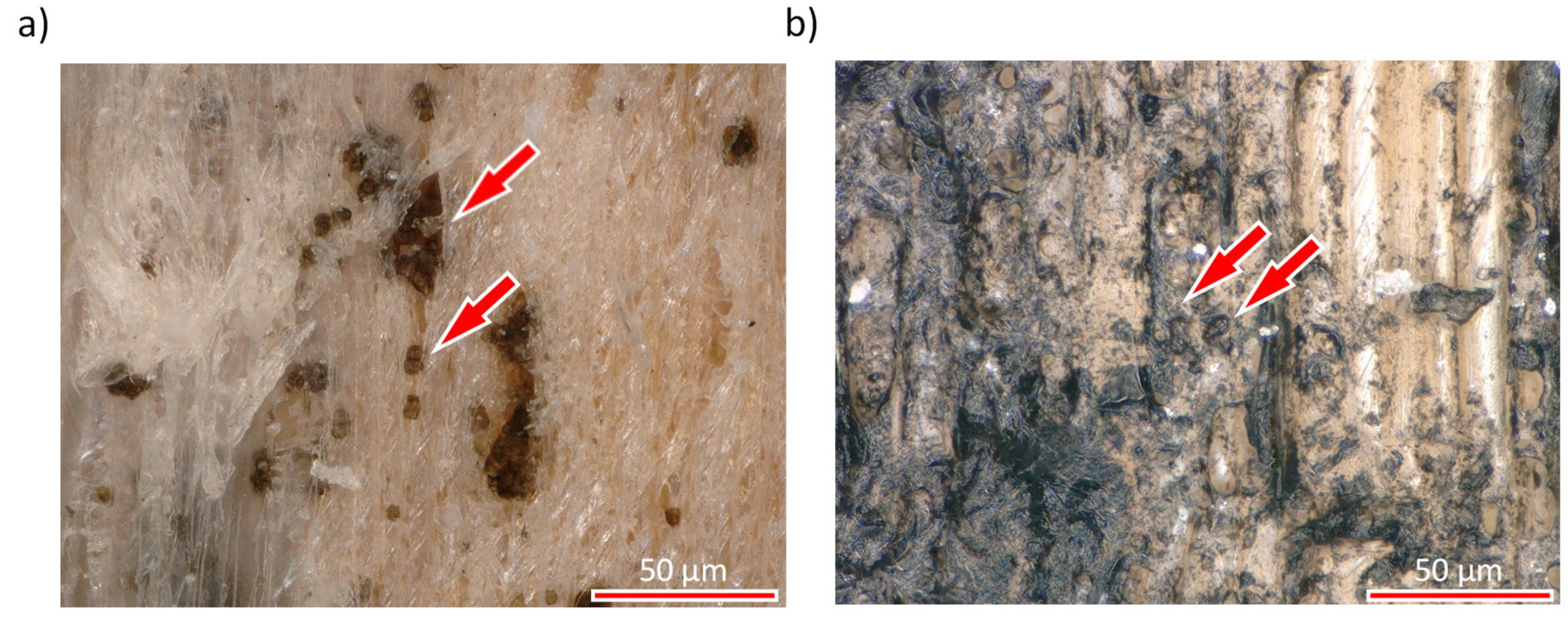 Coatings 11 00701 g008 Coatings 11 00701 g008