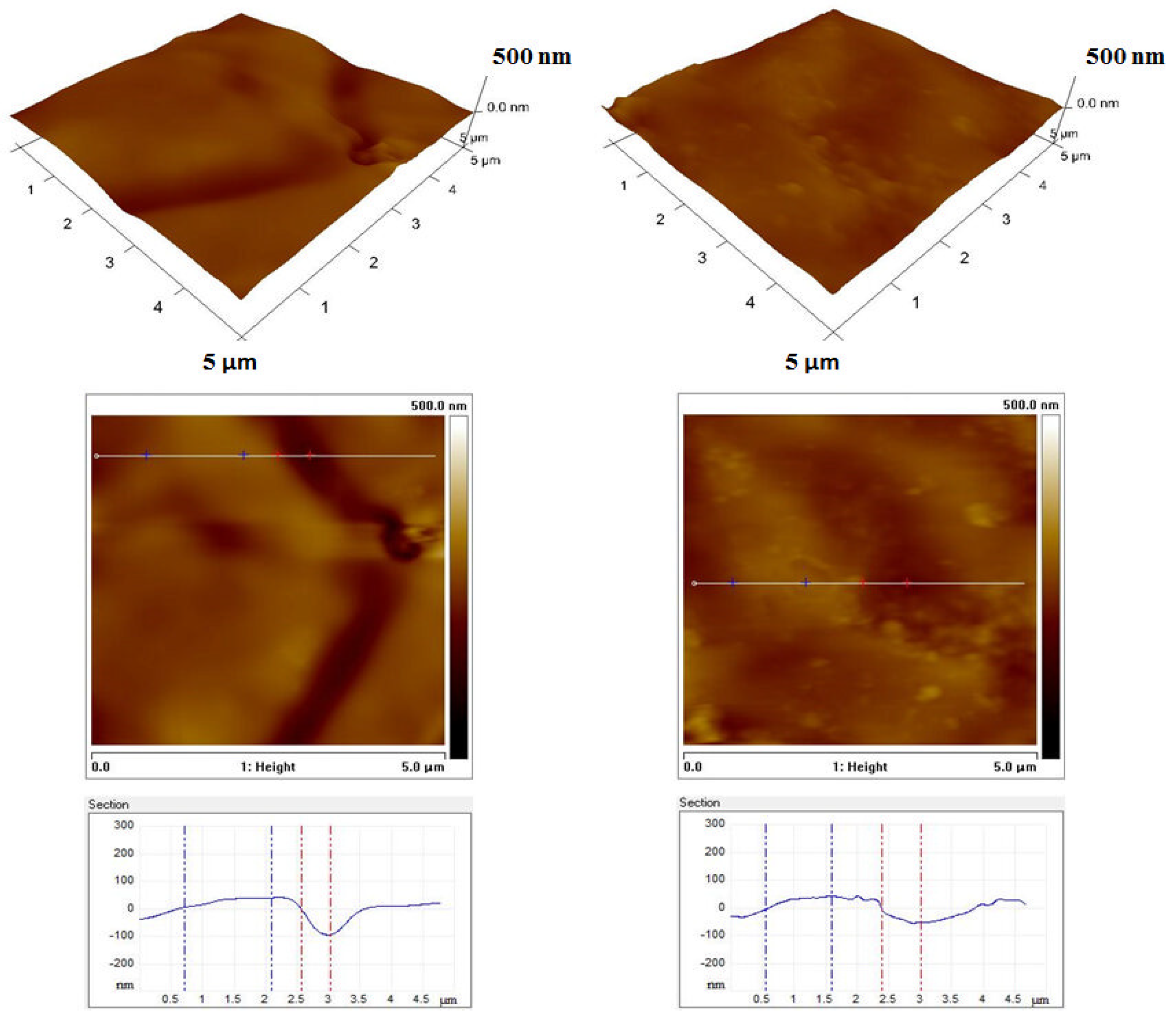 Coatings 11 00703 g007