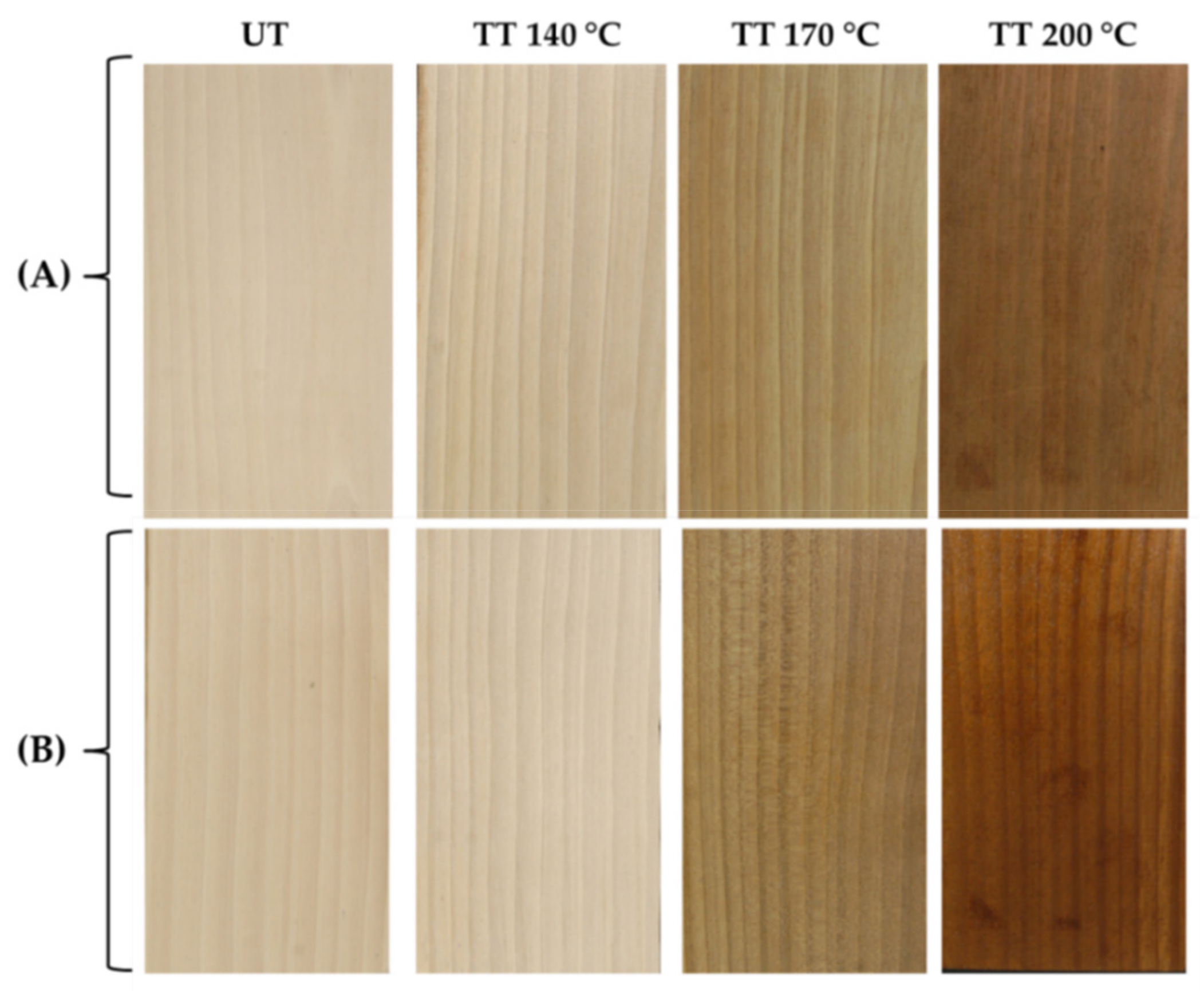 Coatings 11 00706 g003
