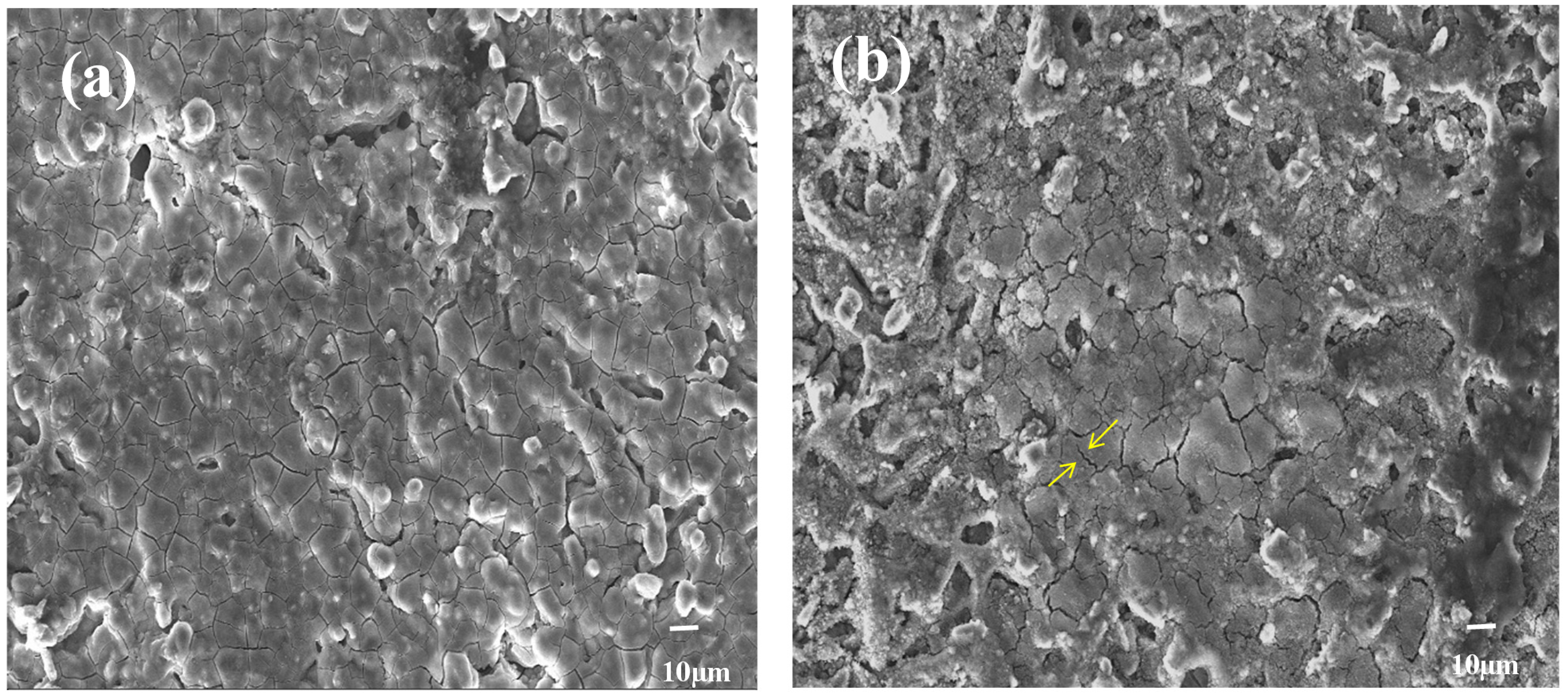 Coatings 11 00707 g006 Coatings 11 00707 g006