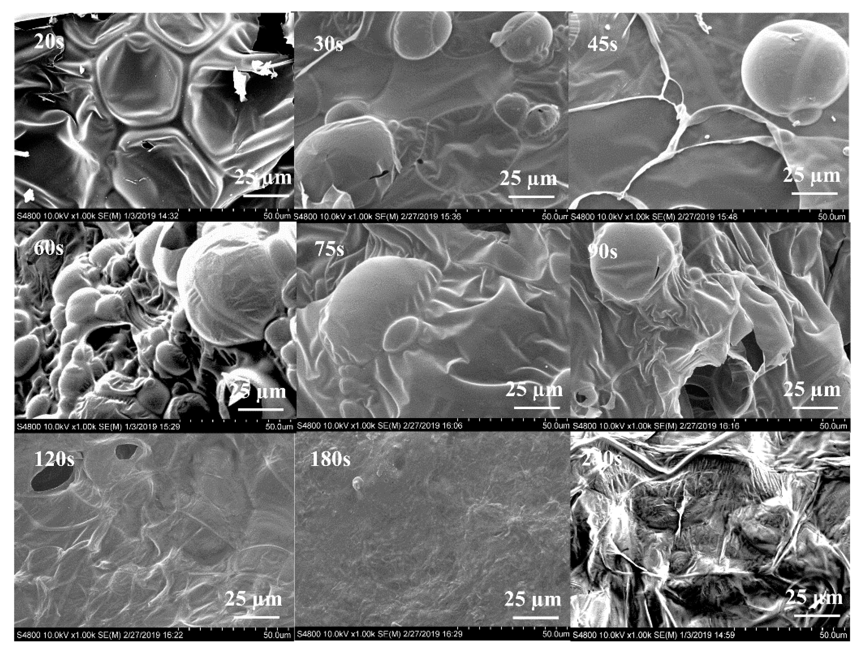 Coatings 11 00709 g007