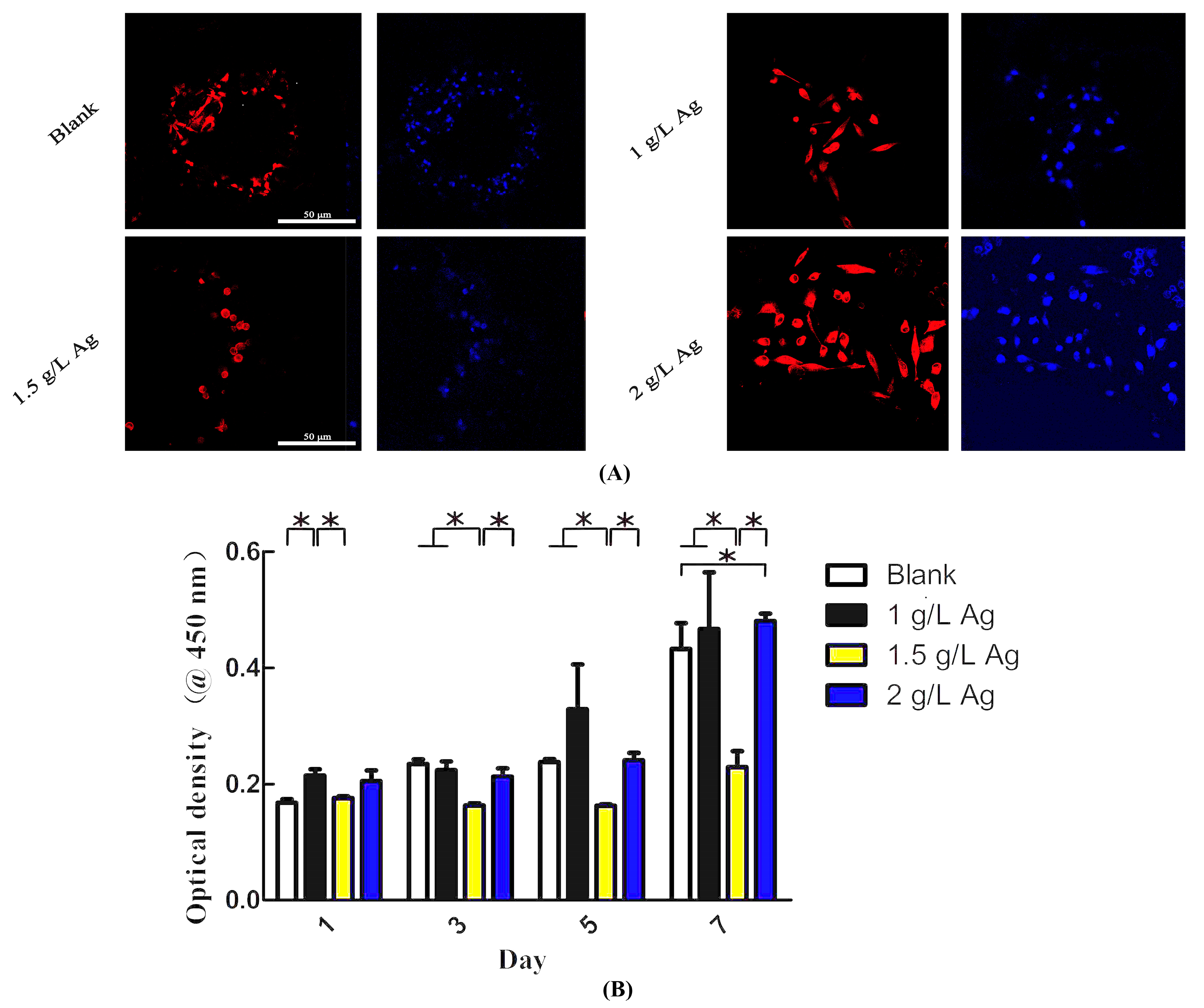 Coatings 11 00716 g005 Coatings 11 00716 g005