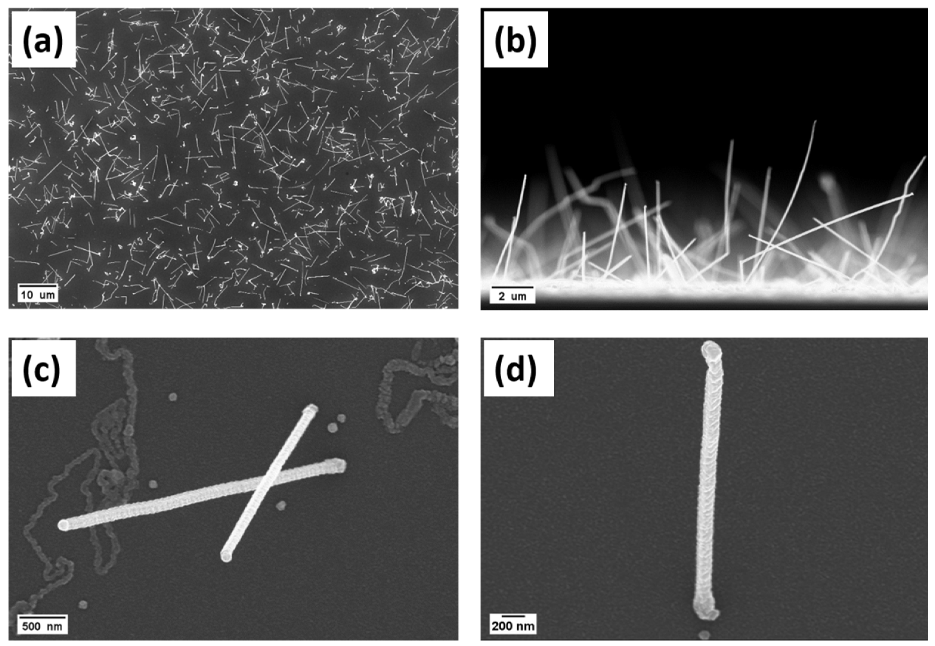 Coatings 11 00718 g001 Coatings 11 00718 g001