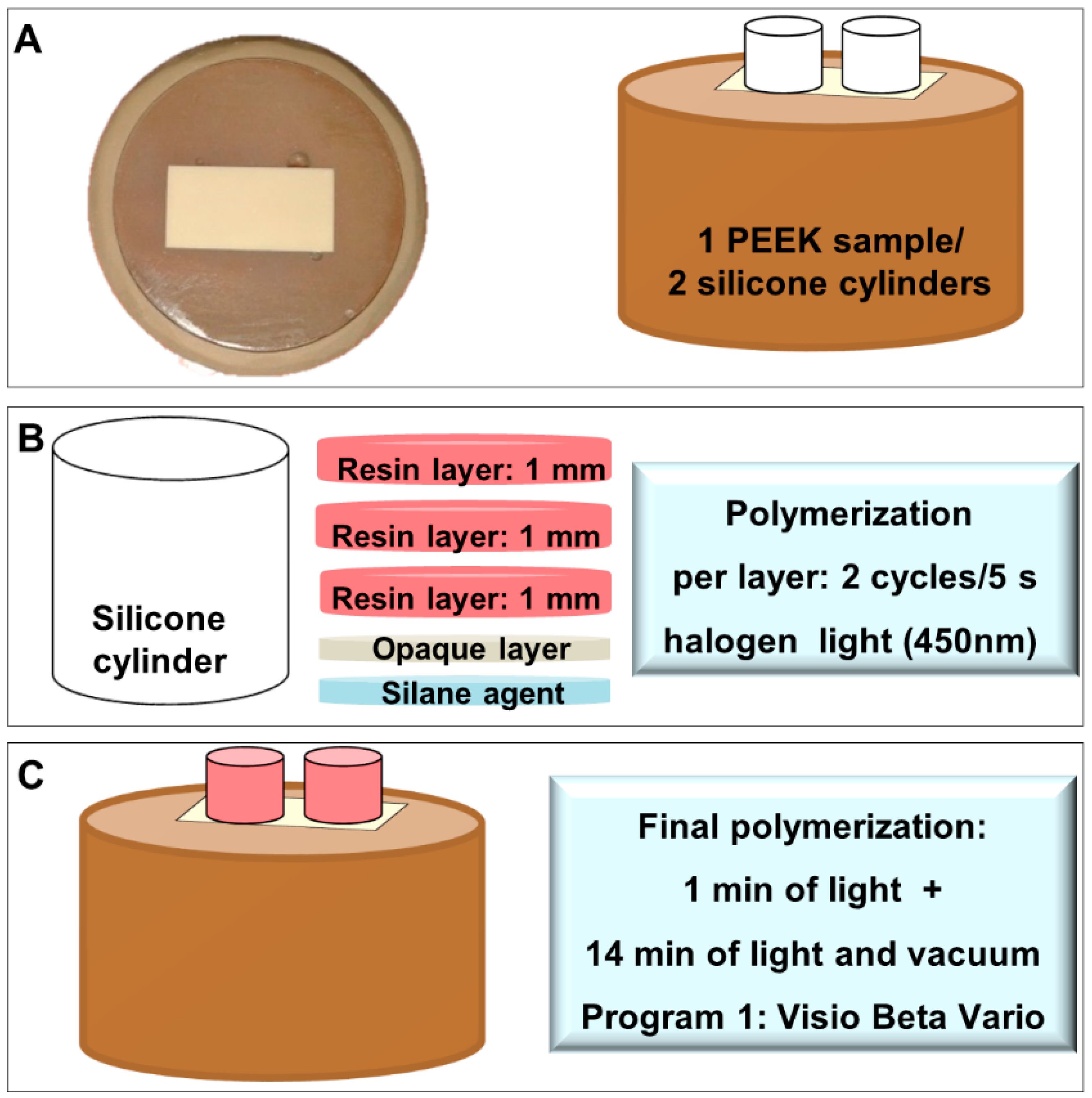 Coatings 11 00719 g002