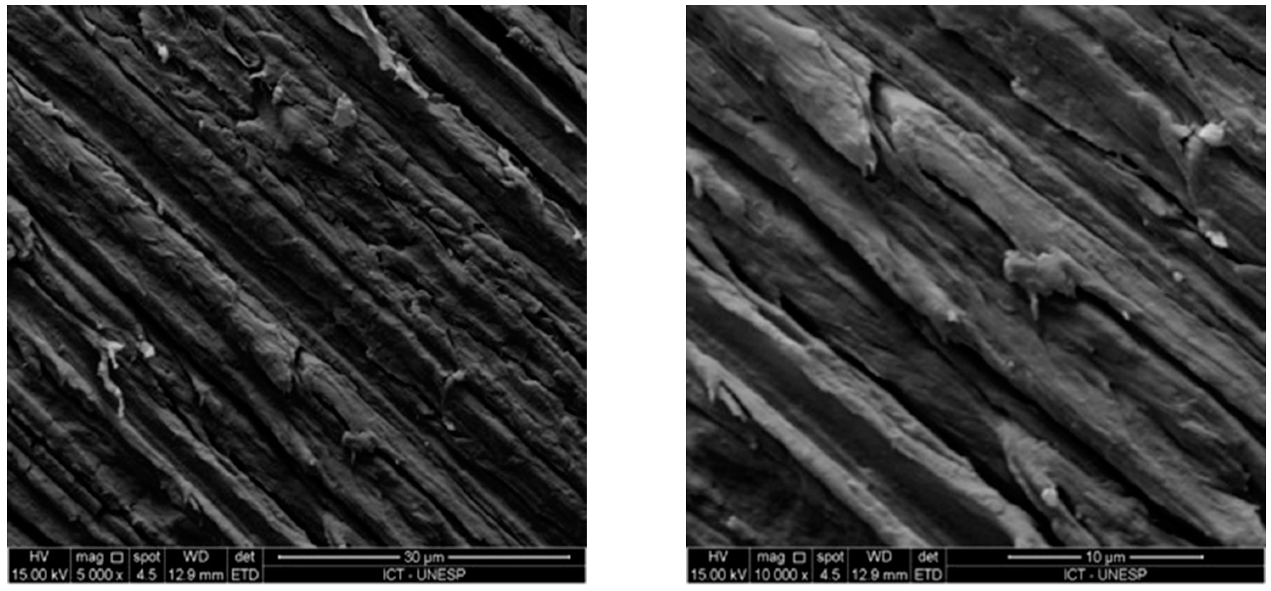 Coatings 11 00719 g004