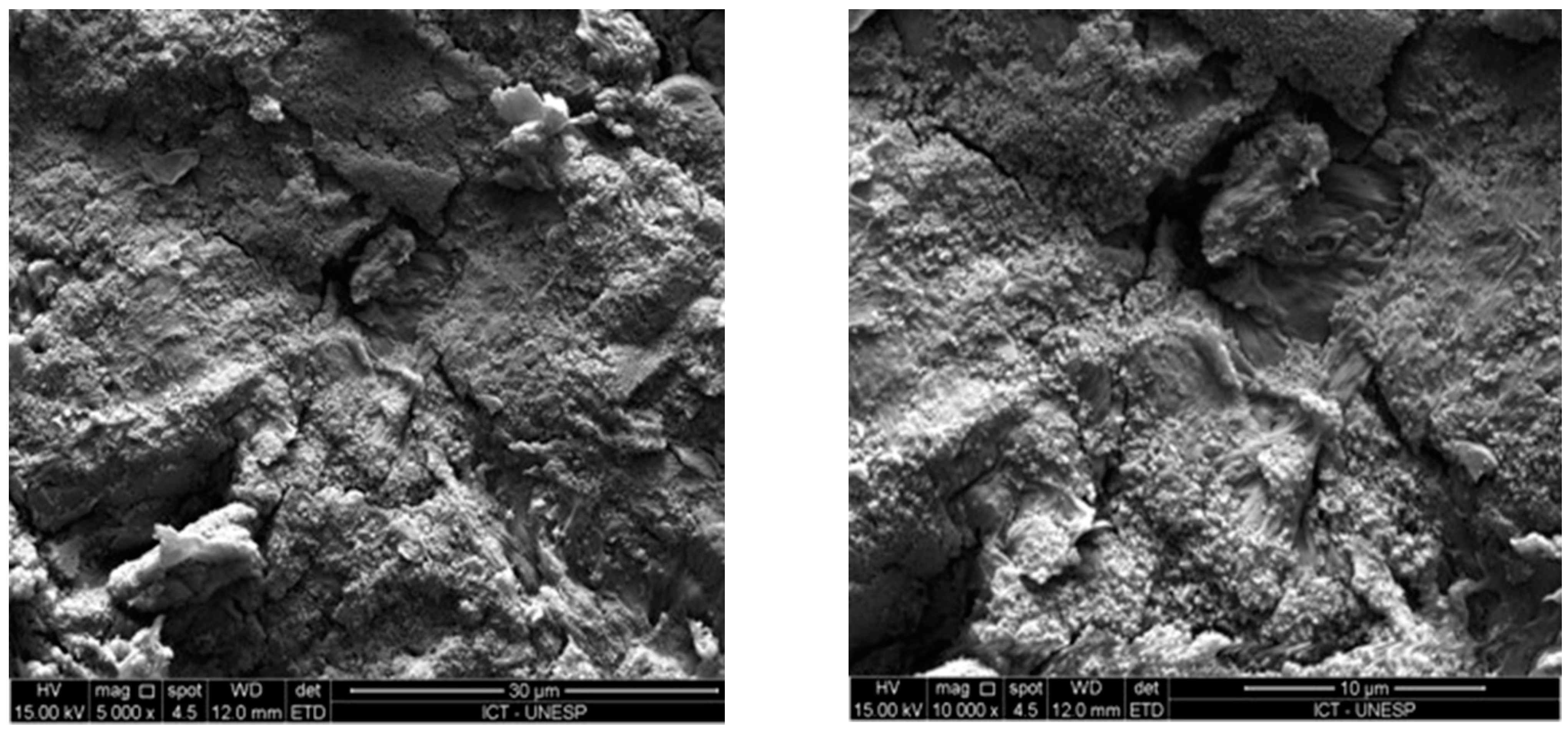 Coatings 11 00719 g006