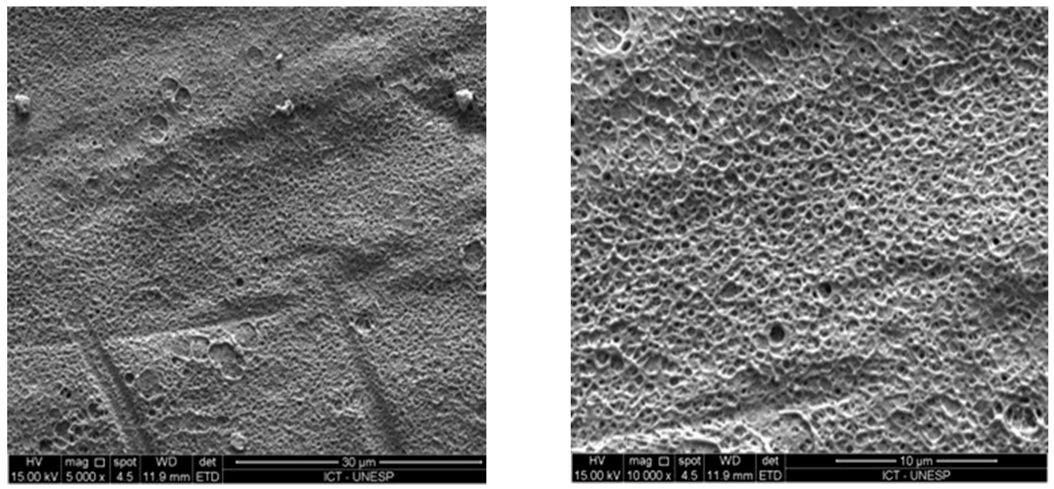 Coatings 11 00719 g007