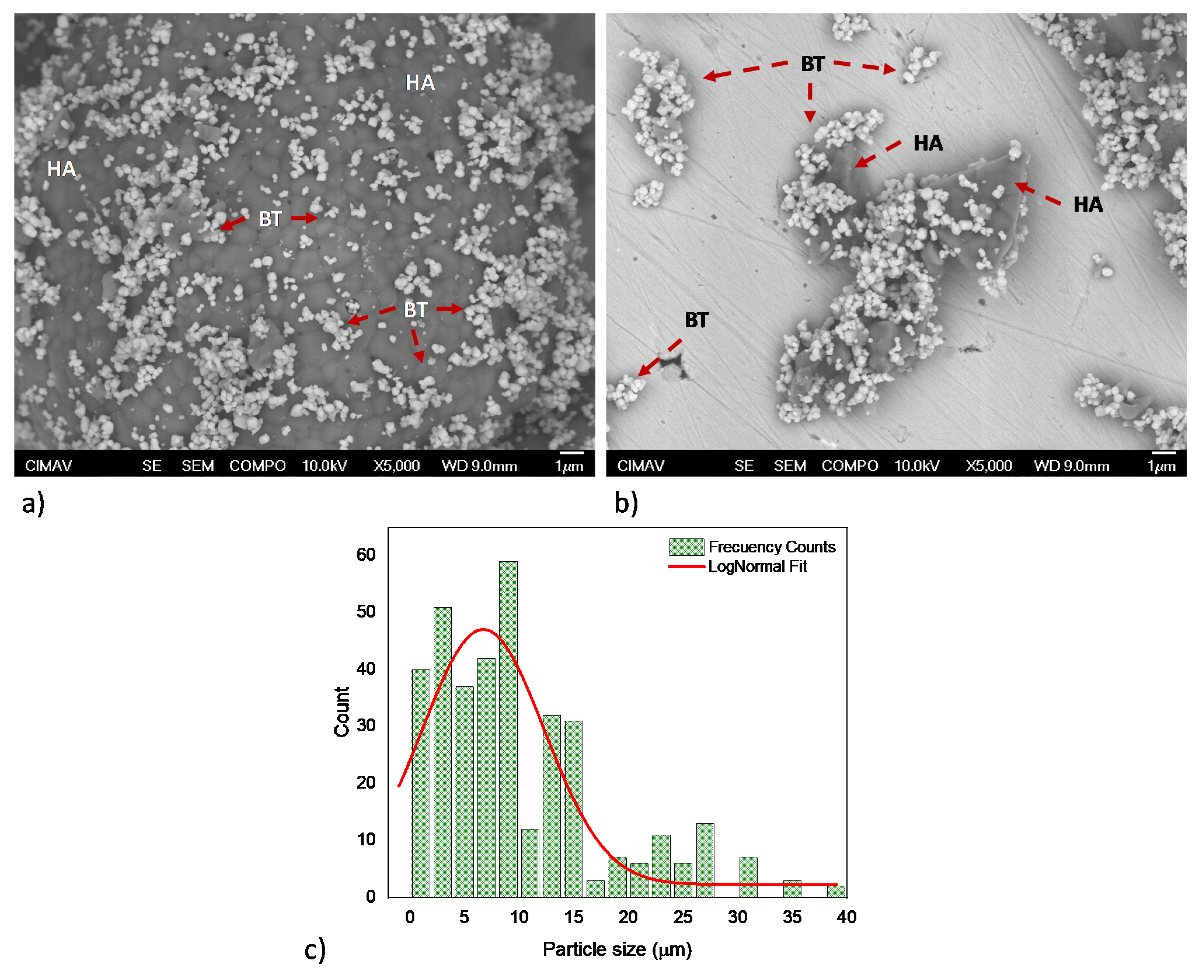 Coatings 11 00728 g002