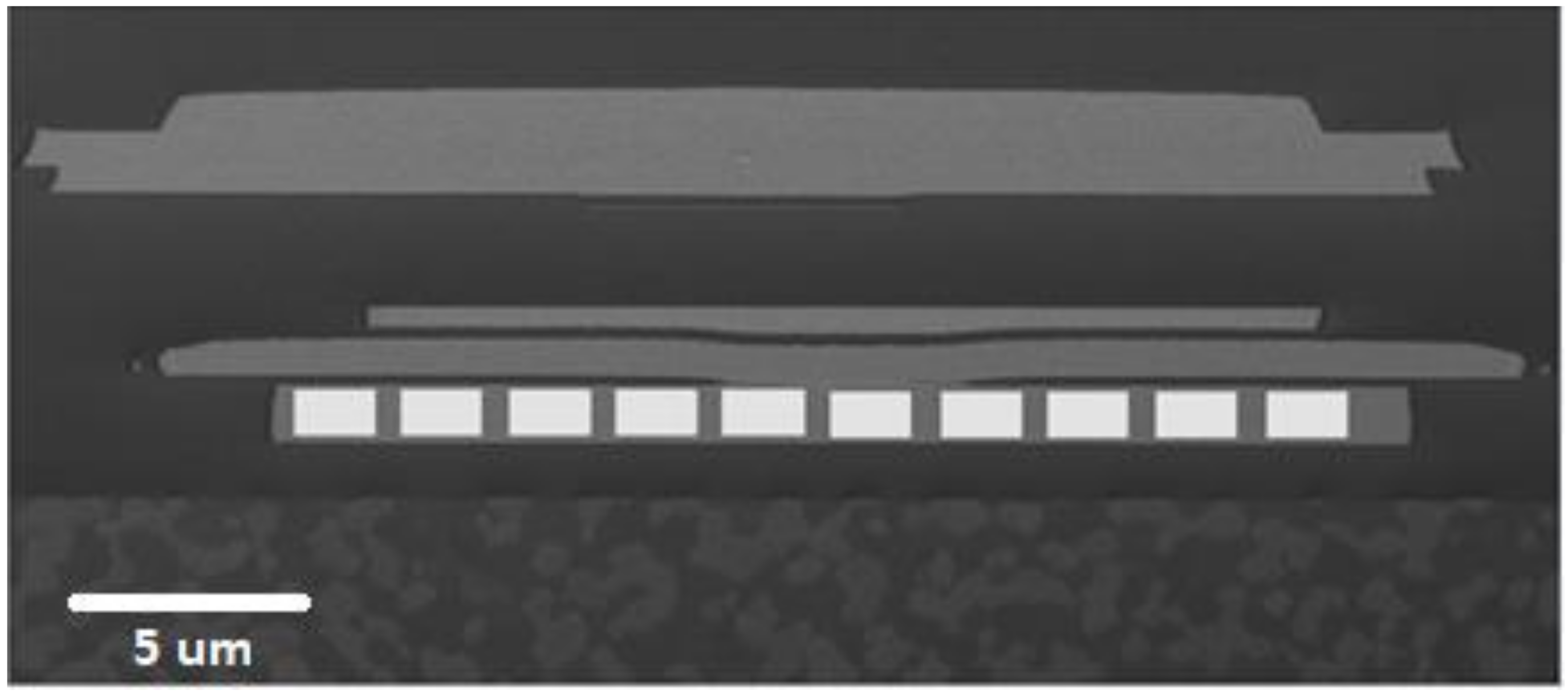 Coatings 11 00729 g001 Coatings 11 00729 g001