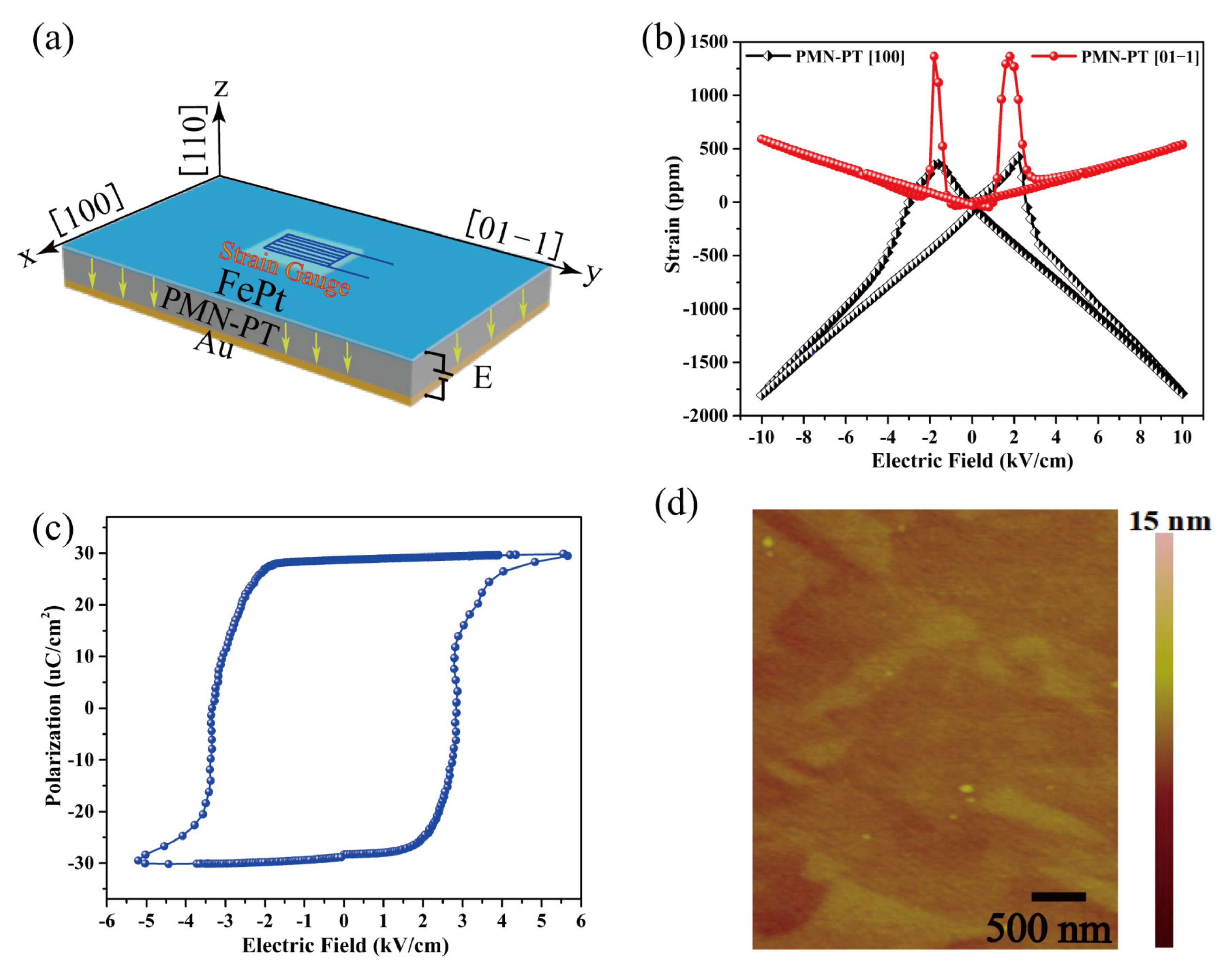 Coatings 11 00730 g001 Coatings 11 00730 g001