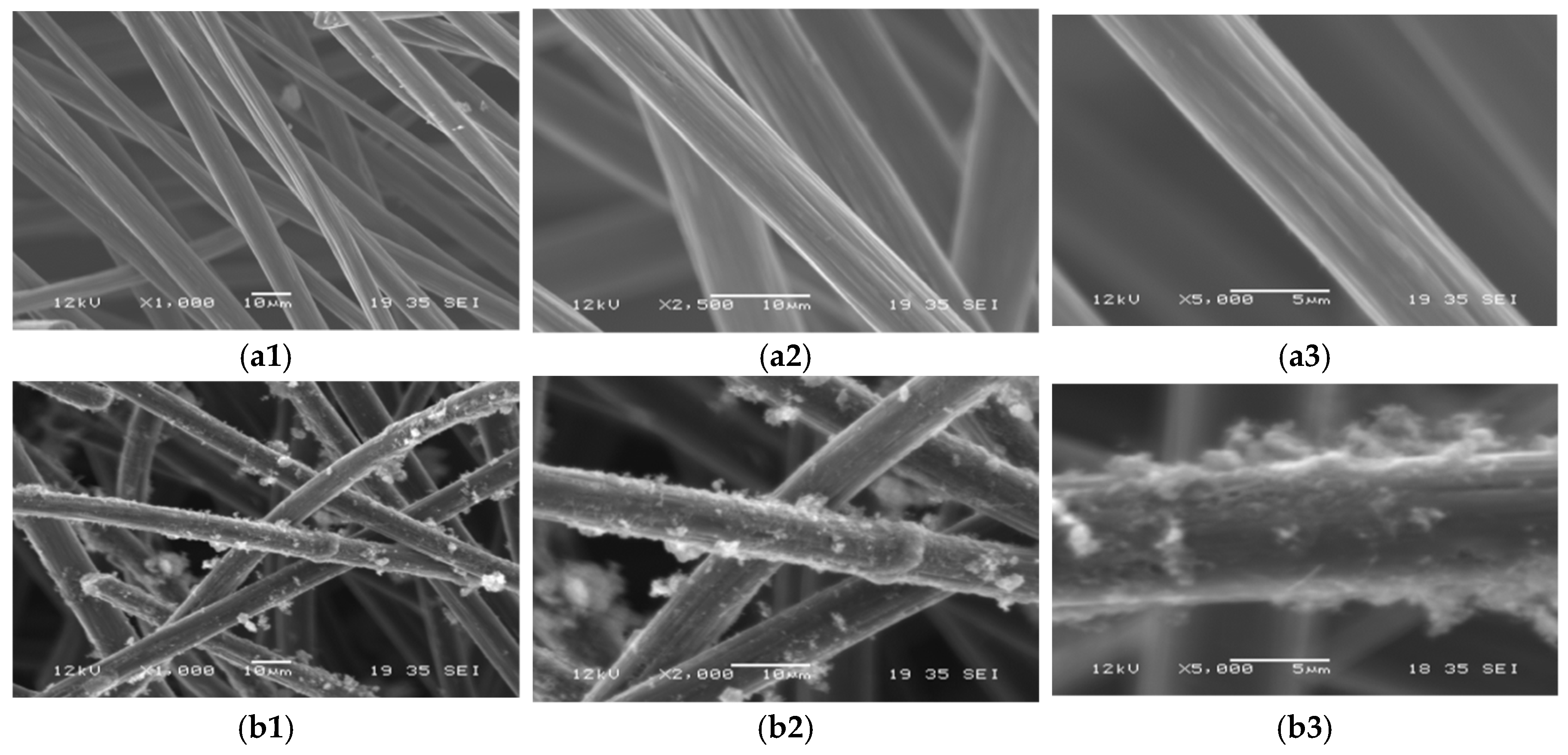 Coatings 11 00736 g003 Coatings 11 00736 g003