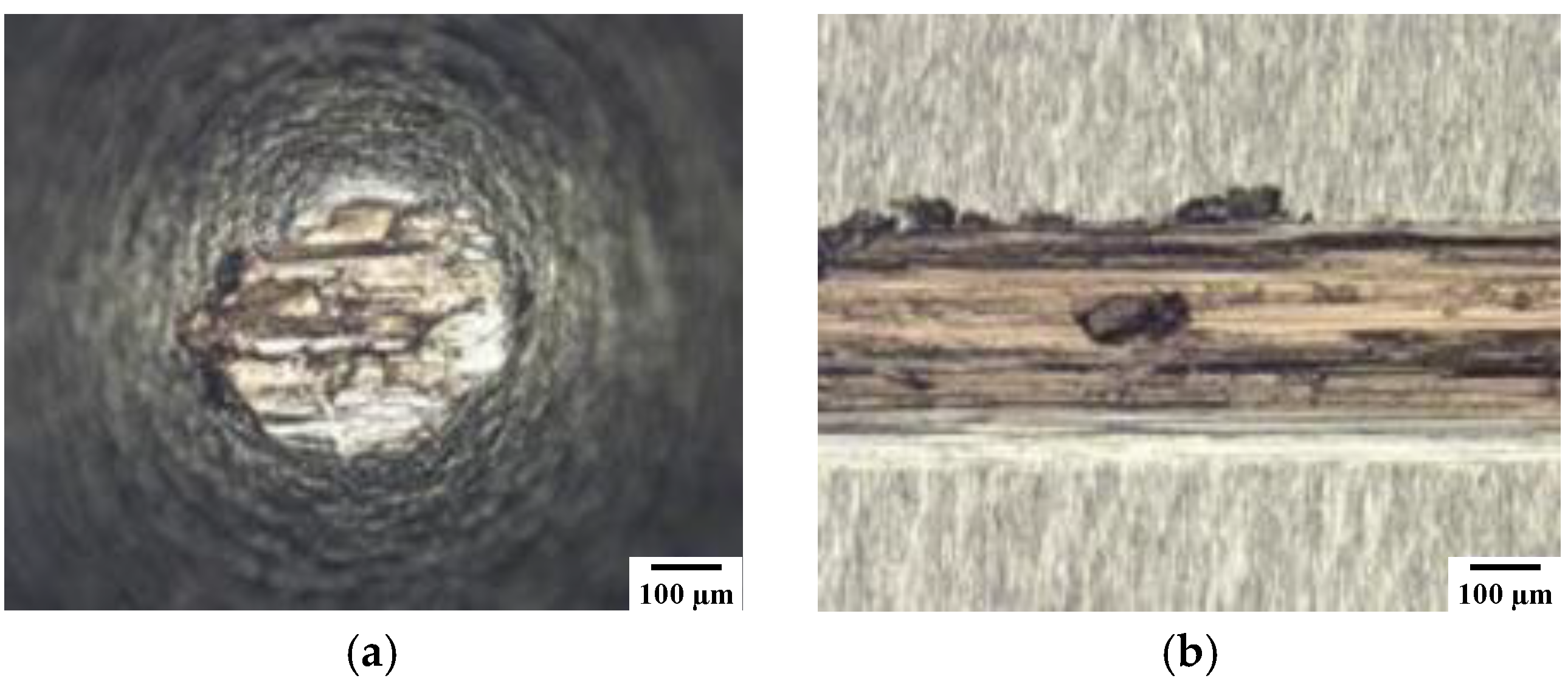 Coatings 11 00737 g004 550