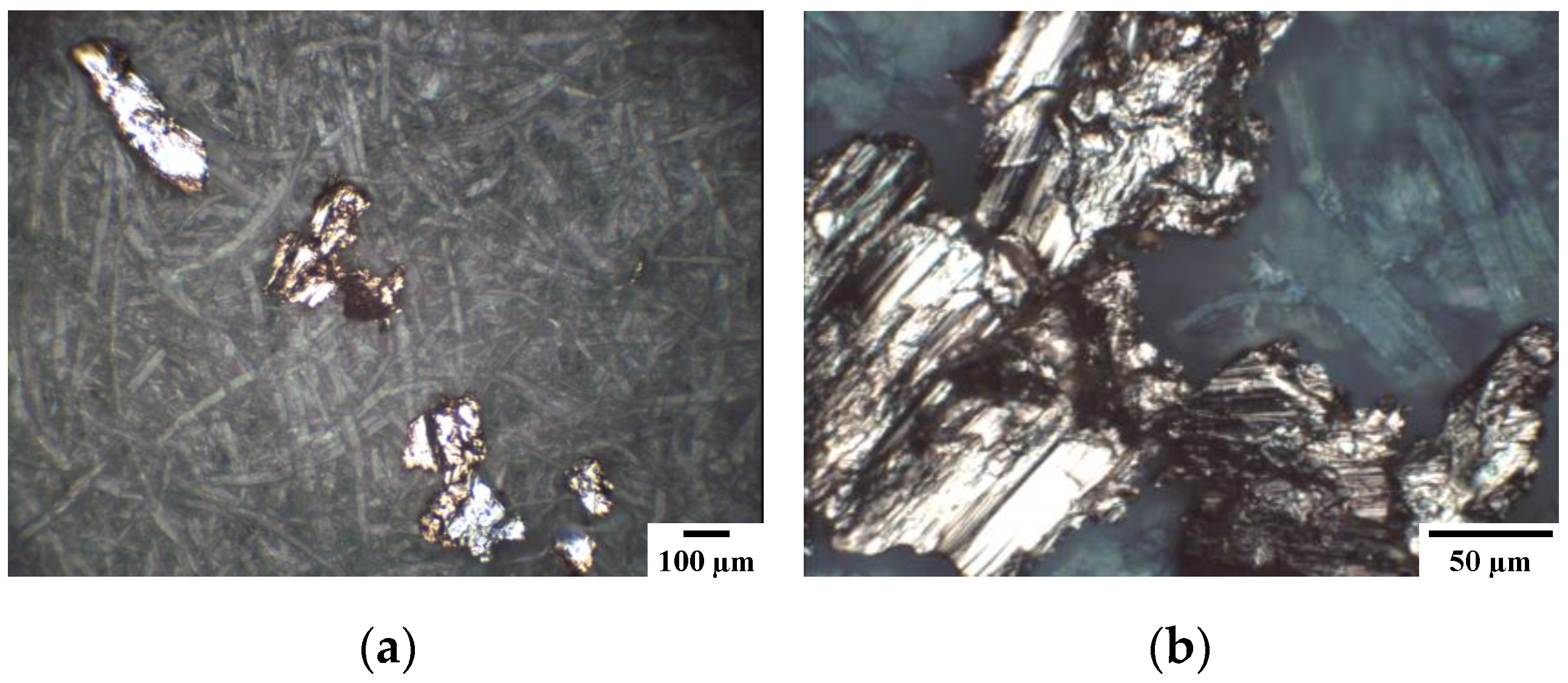 Coatings 11 00737 g005 550