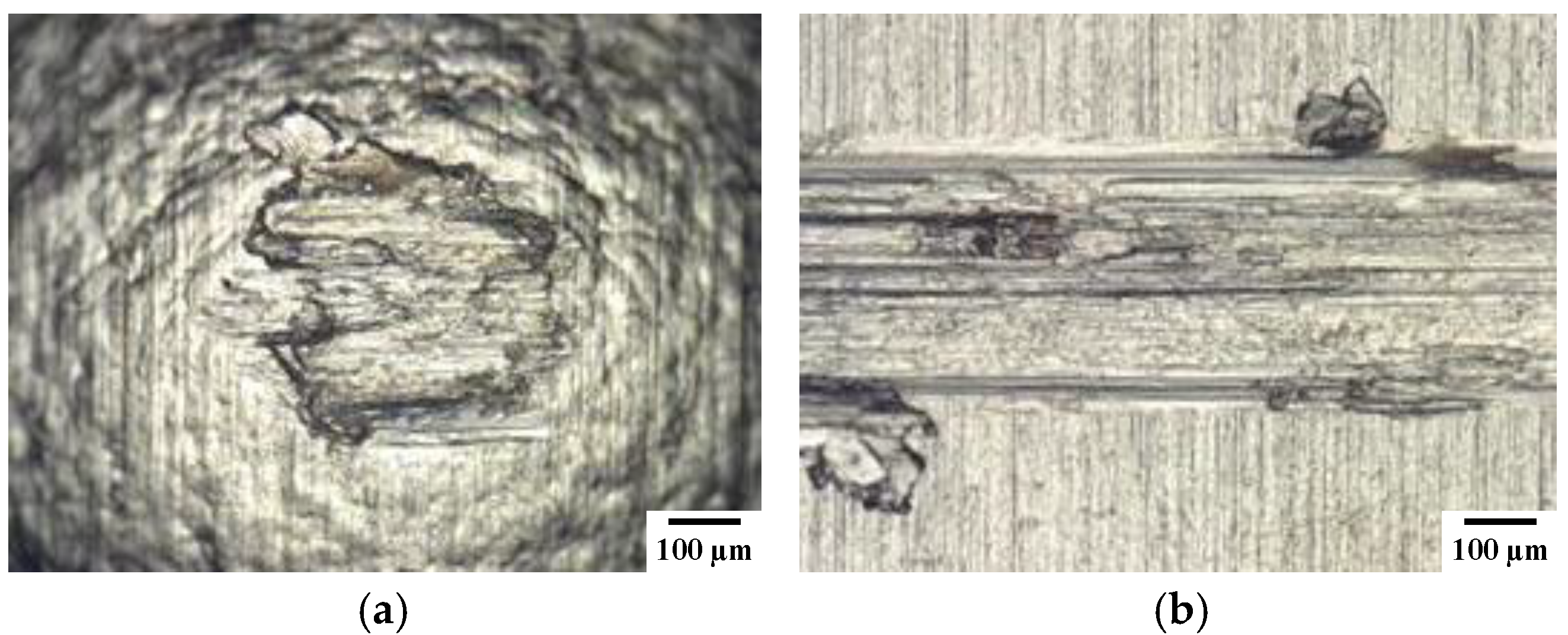 Coatings 11 00737 g008 550