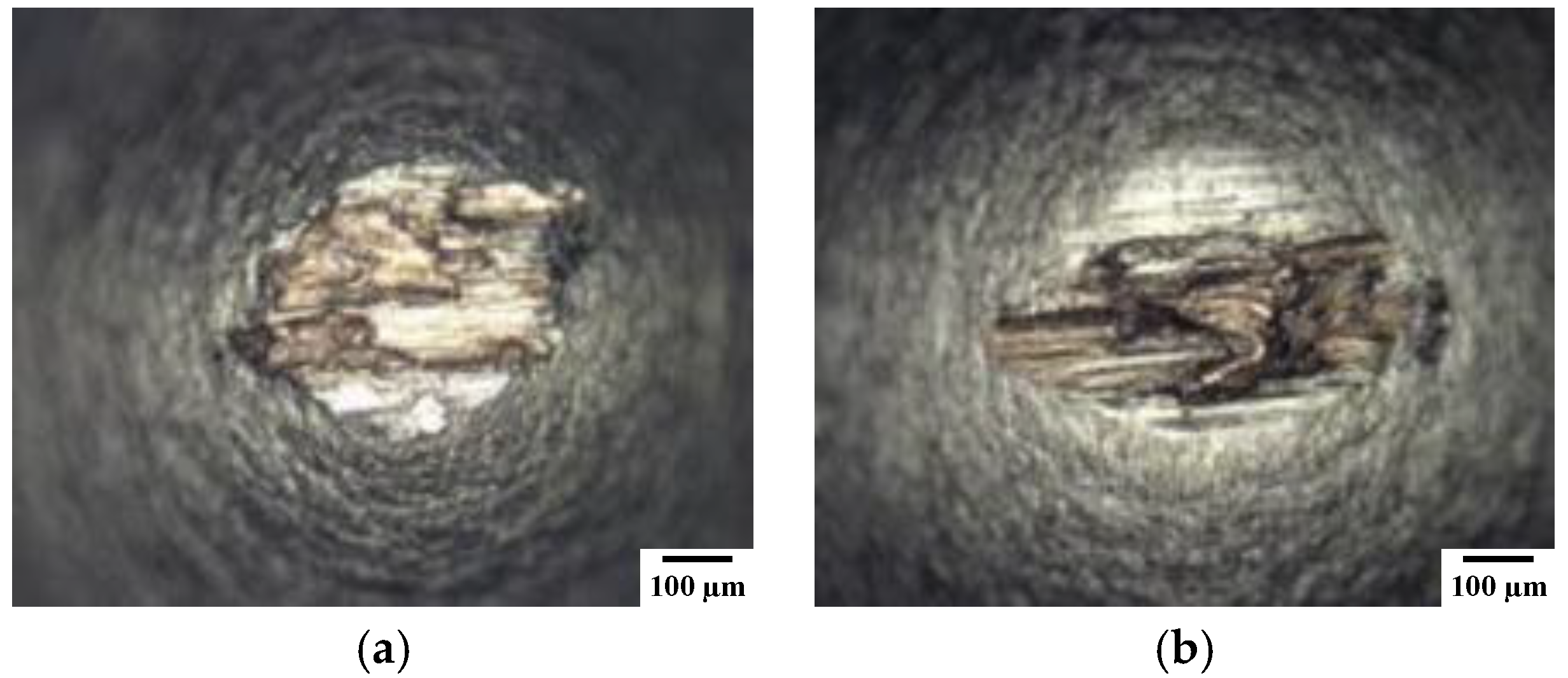 Coatings 11 00737 g013 550