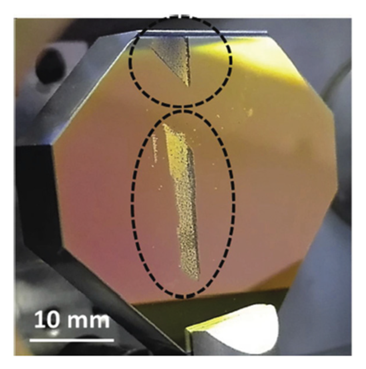 Coatings 11 00740 g002 550