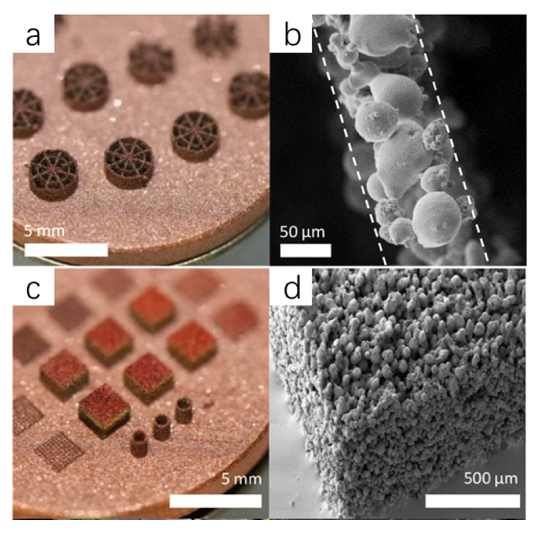 Coatings 11 00740 g007 550