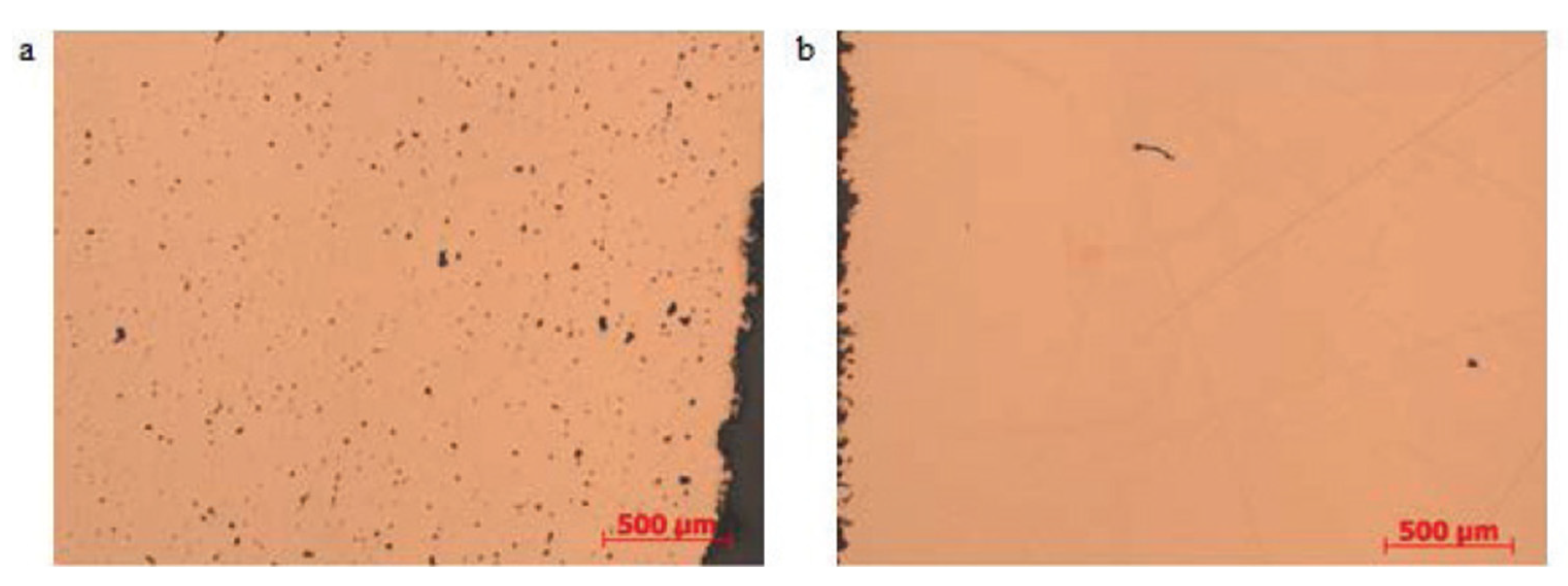 Coatings 11 00740 g017 550