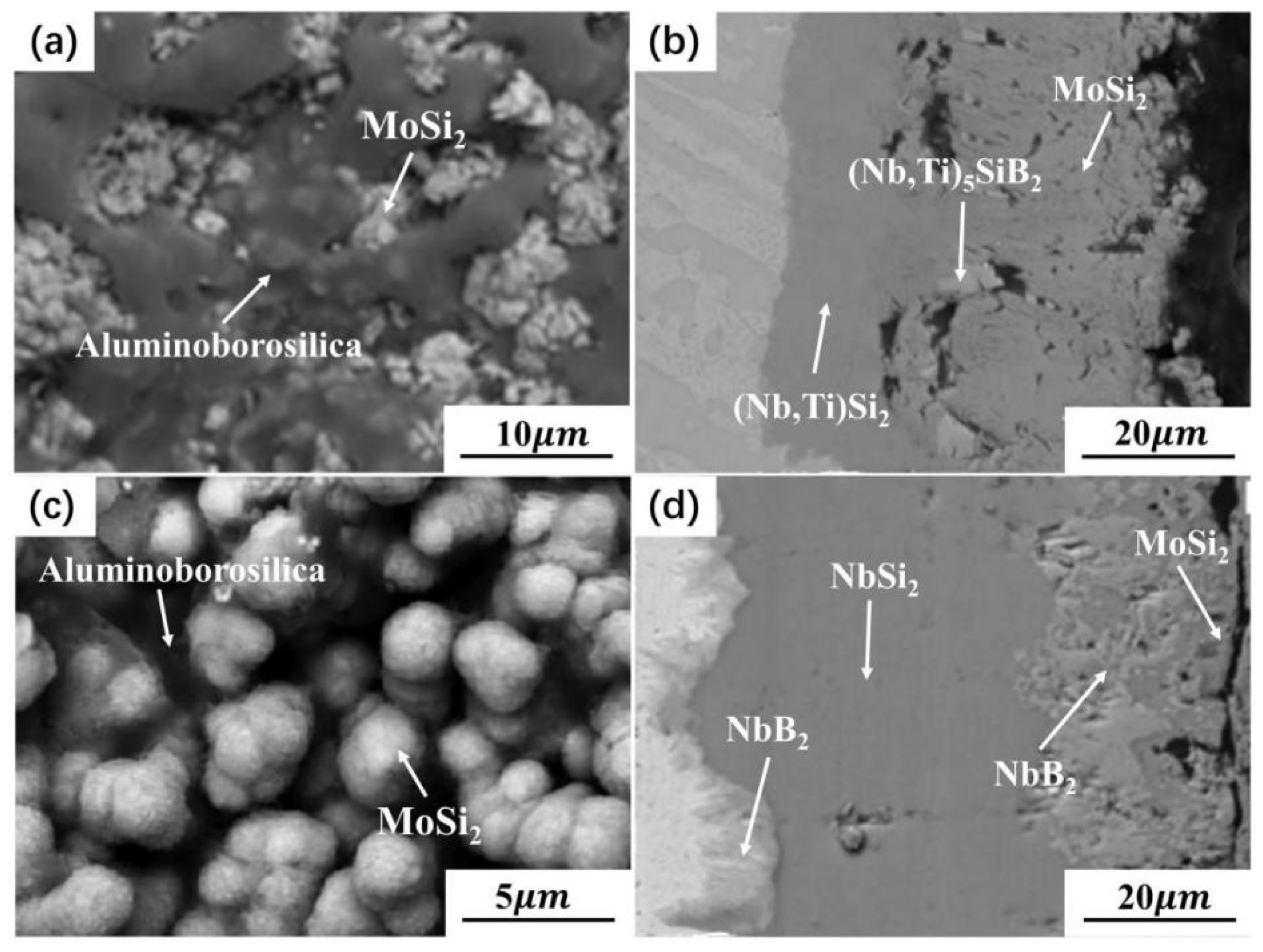 Coatings 11 00742 g010 Coatings 11 00742 g010
