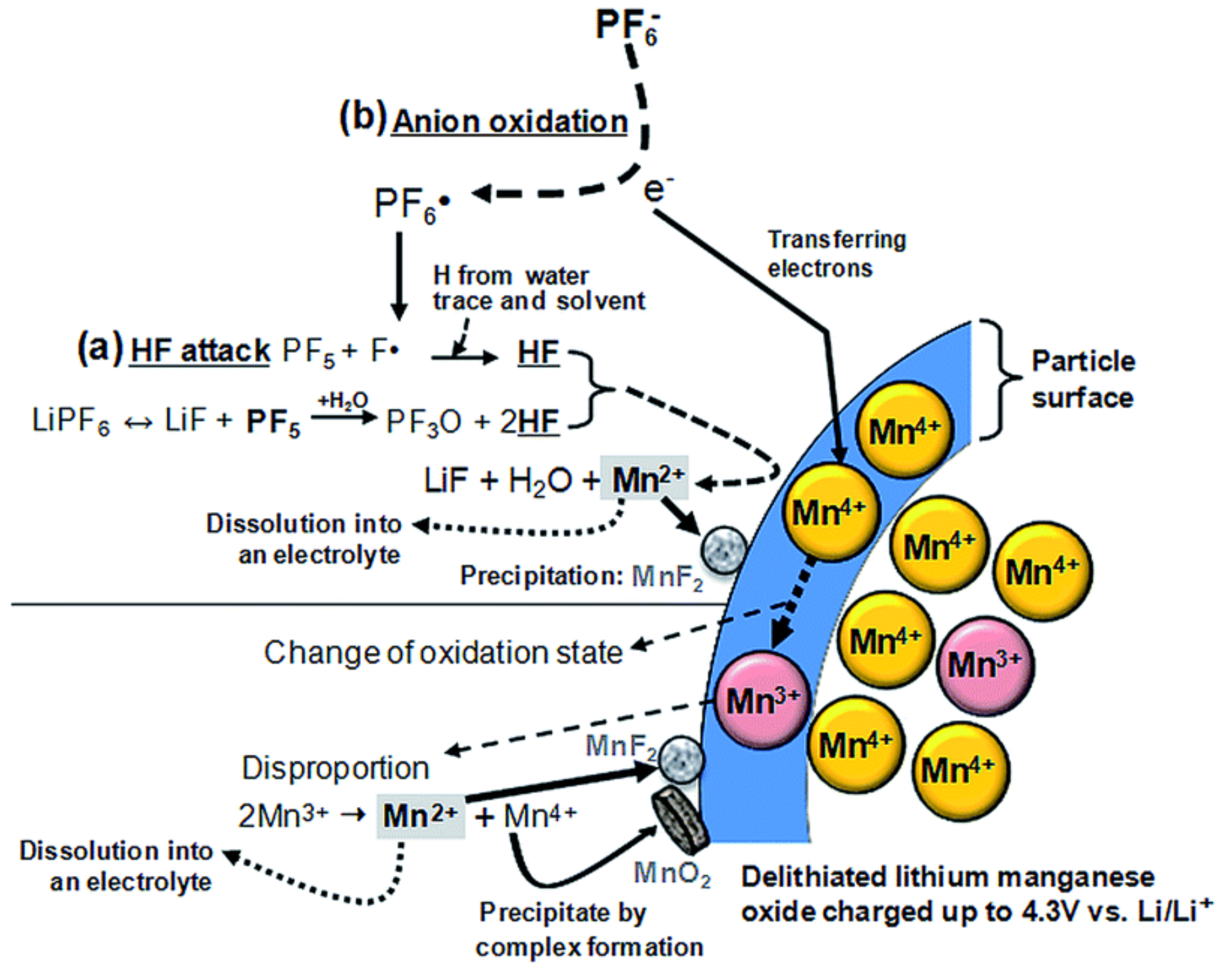 Coatings 11 00744 g008 550