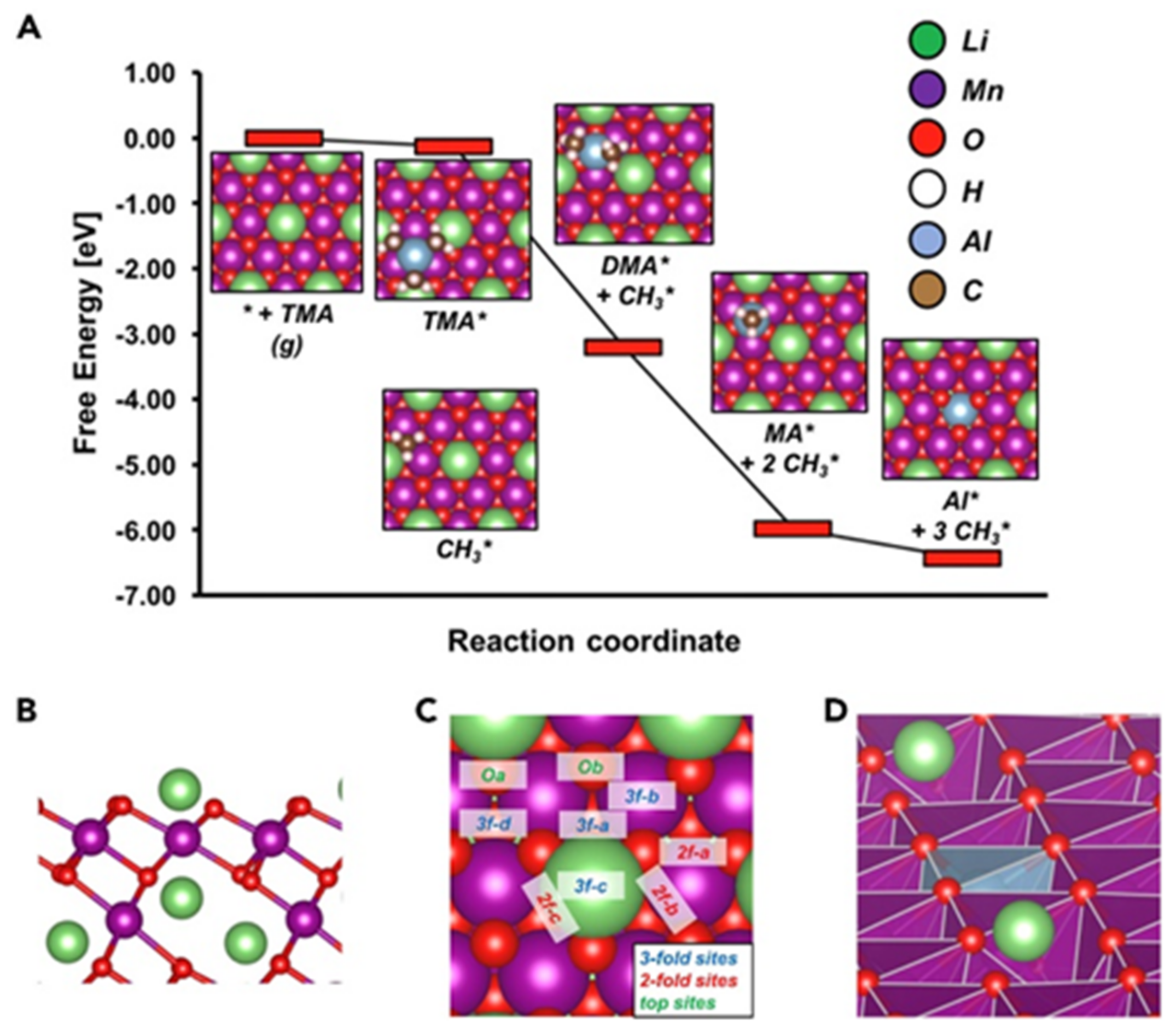 Coatings 11 00744 g011 550