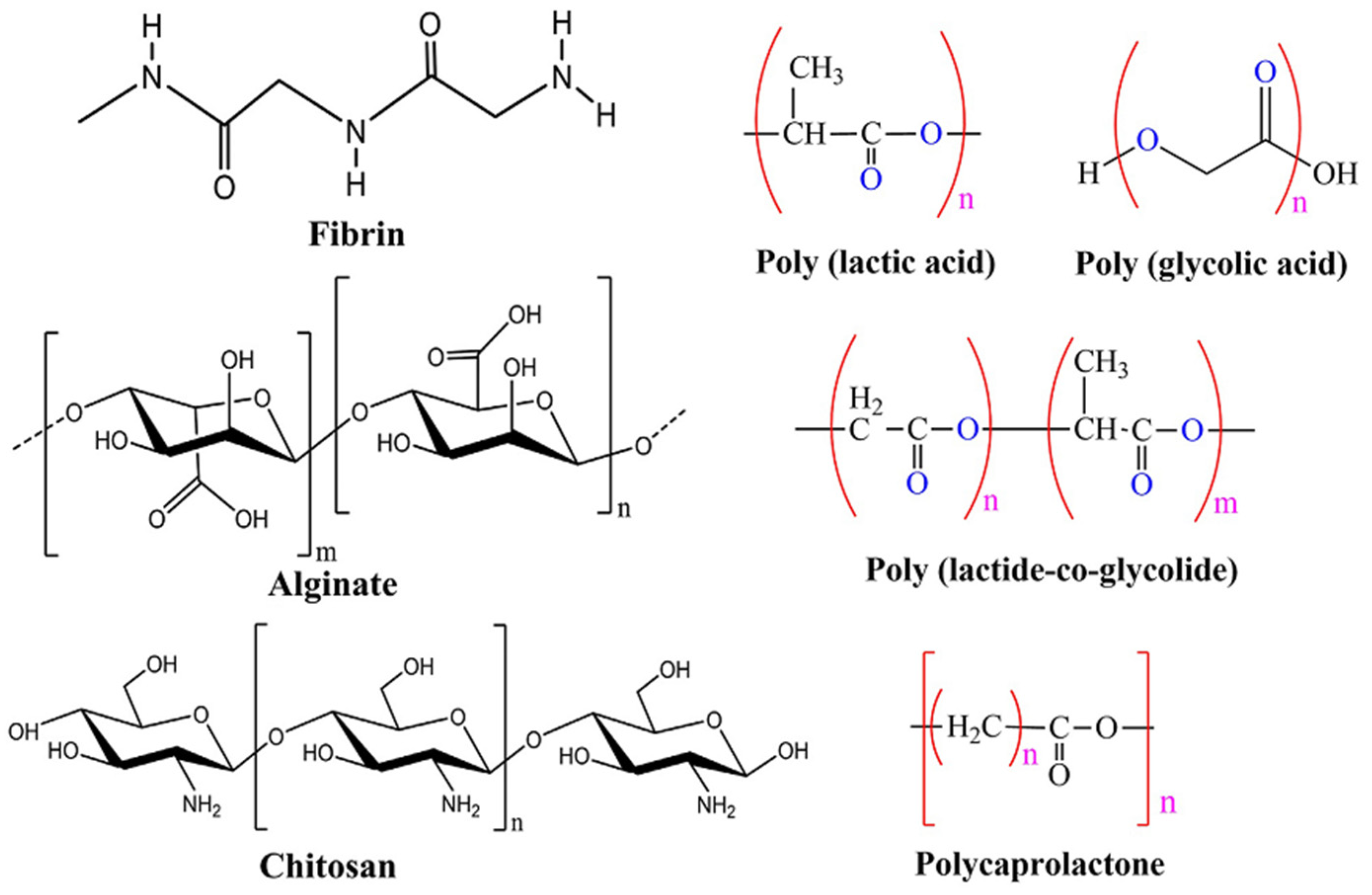 Coatings 11 00747 g002
