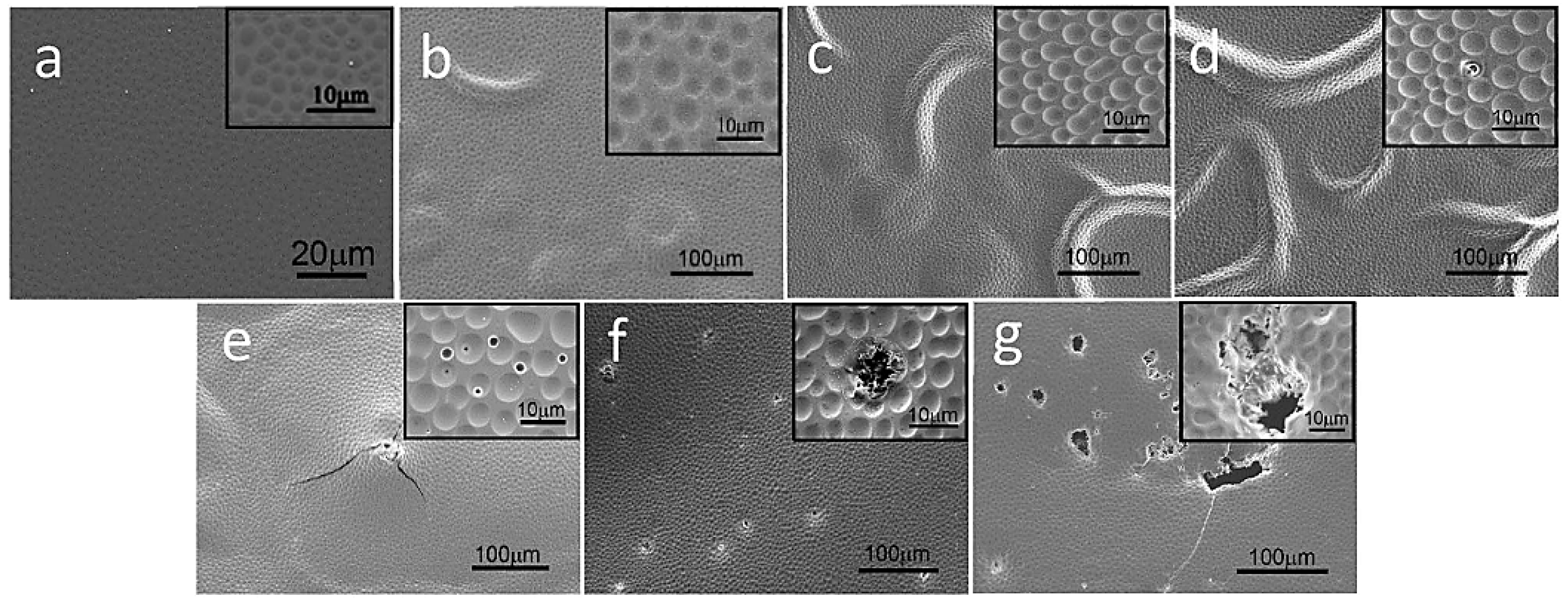 Coatings 11 00747 g005
