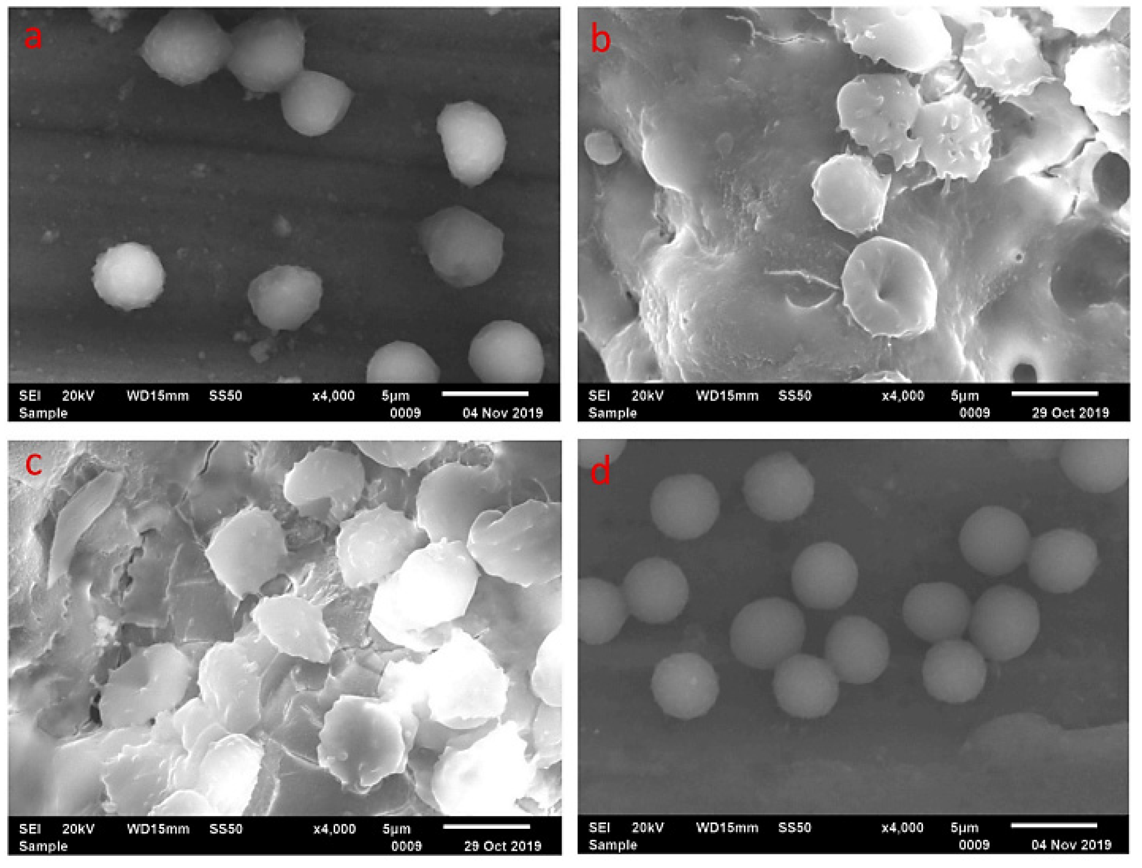 Coatings 11 00747 g007