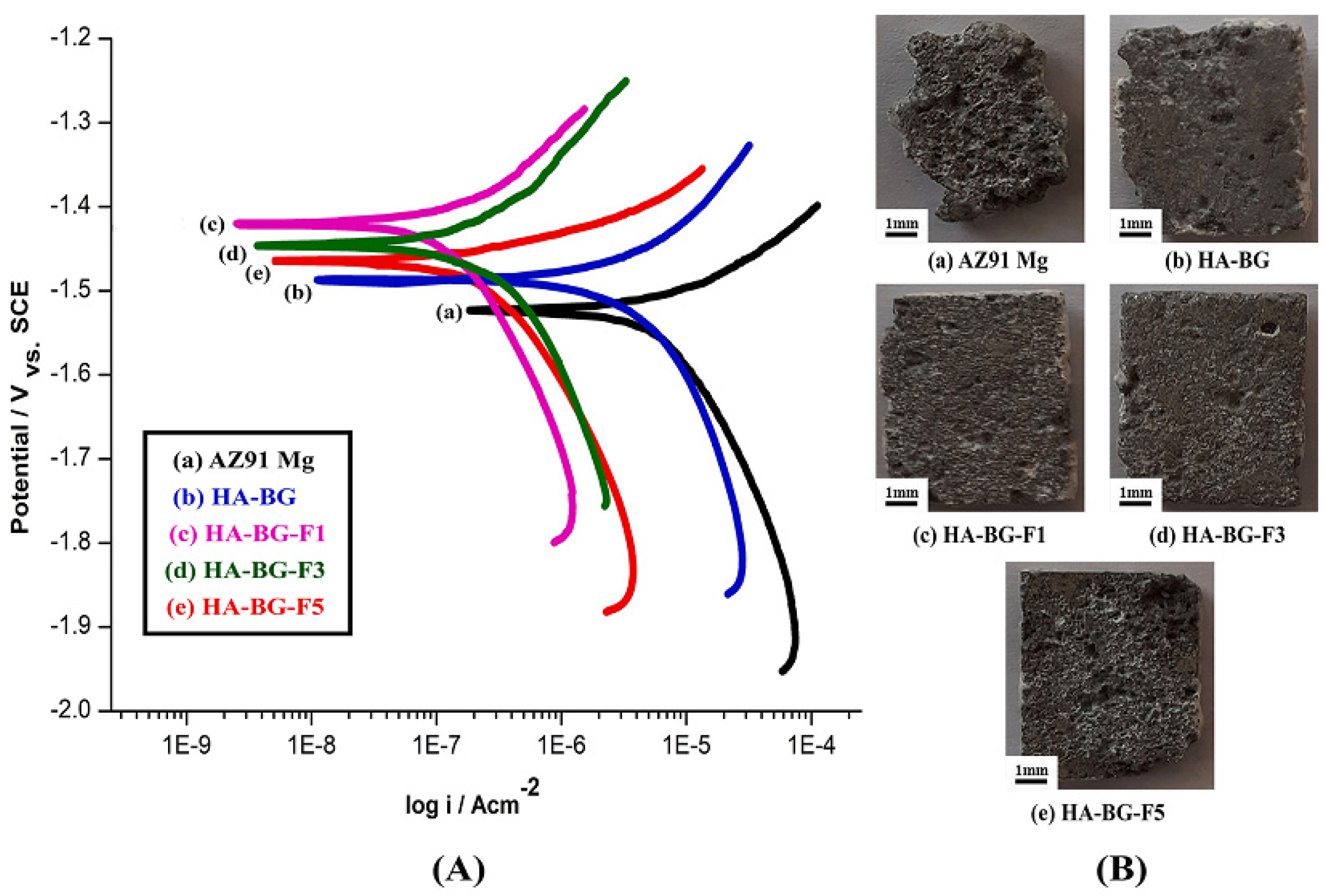 Coatings 11 00747 g010