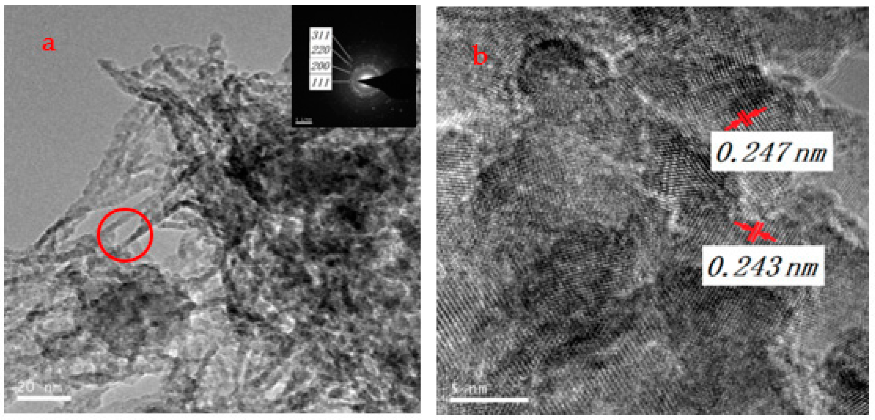 Coatings 11 00749 g005