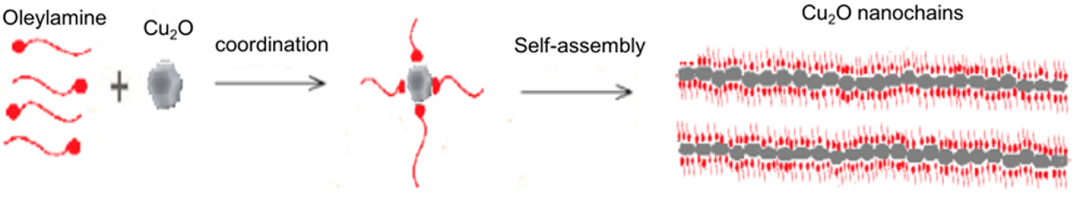 Coatings 11 00749 g008