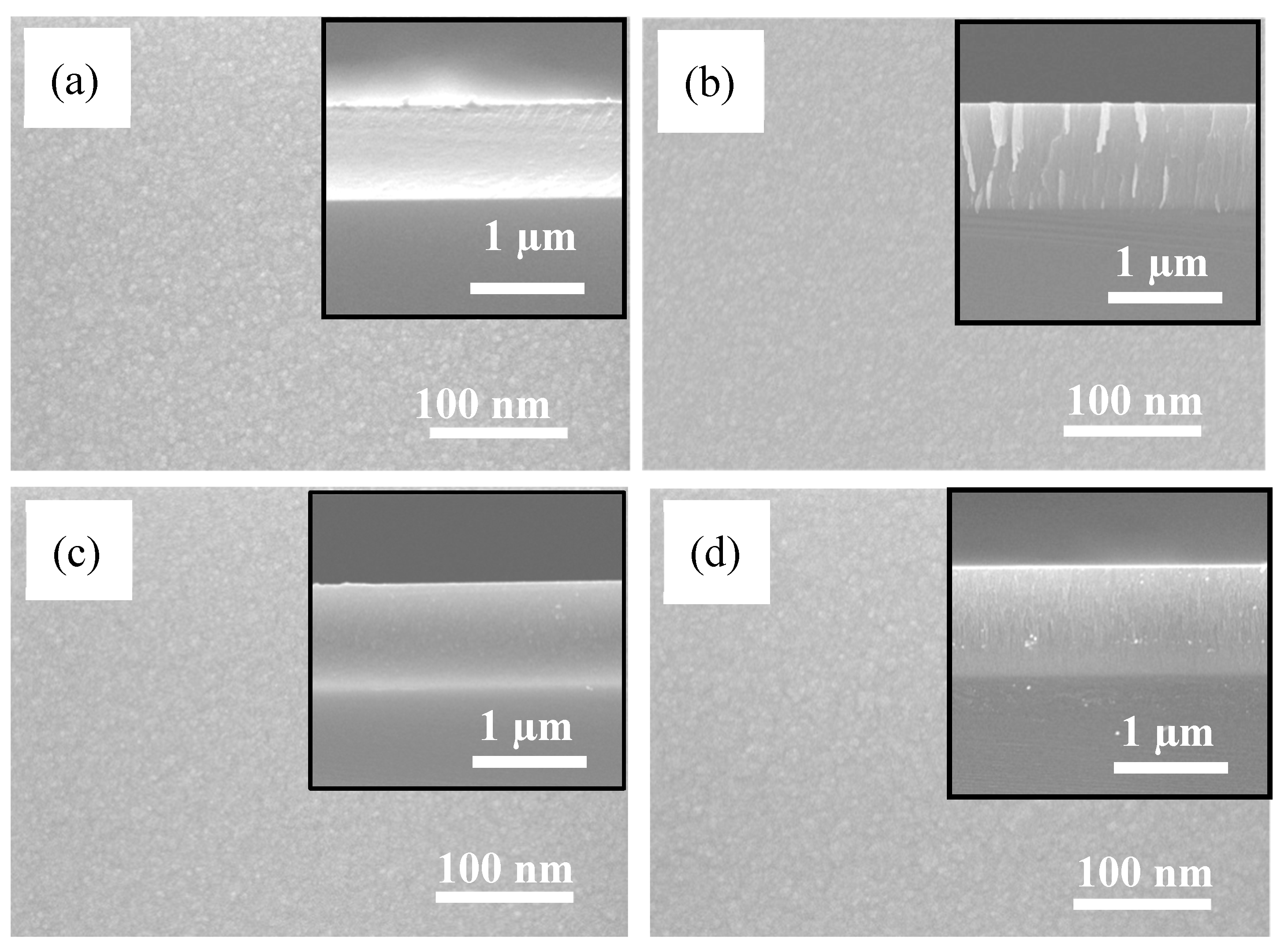 Coatings 11 00752 g001 550