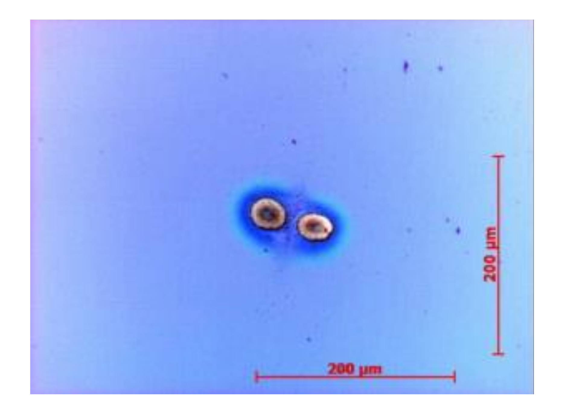 Coatings 11 00753 g010
