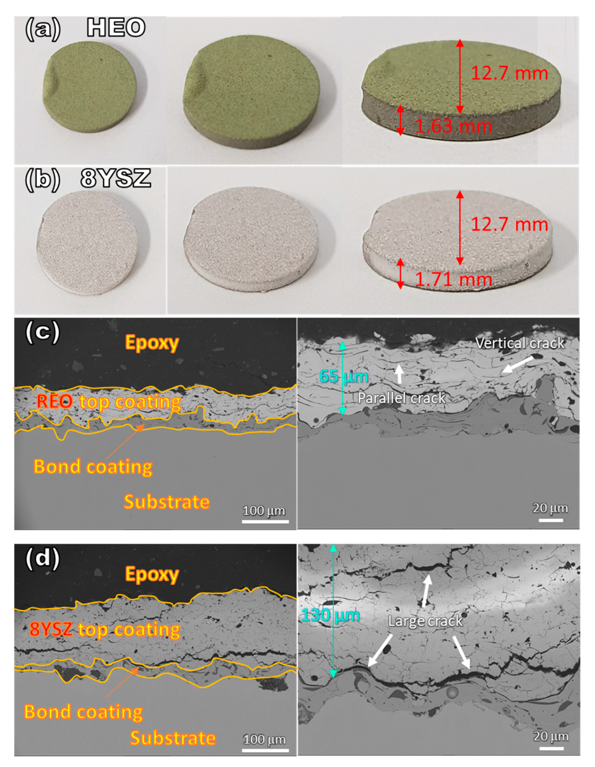 Coatings 11 00755 g003