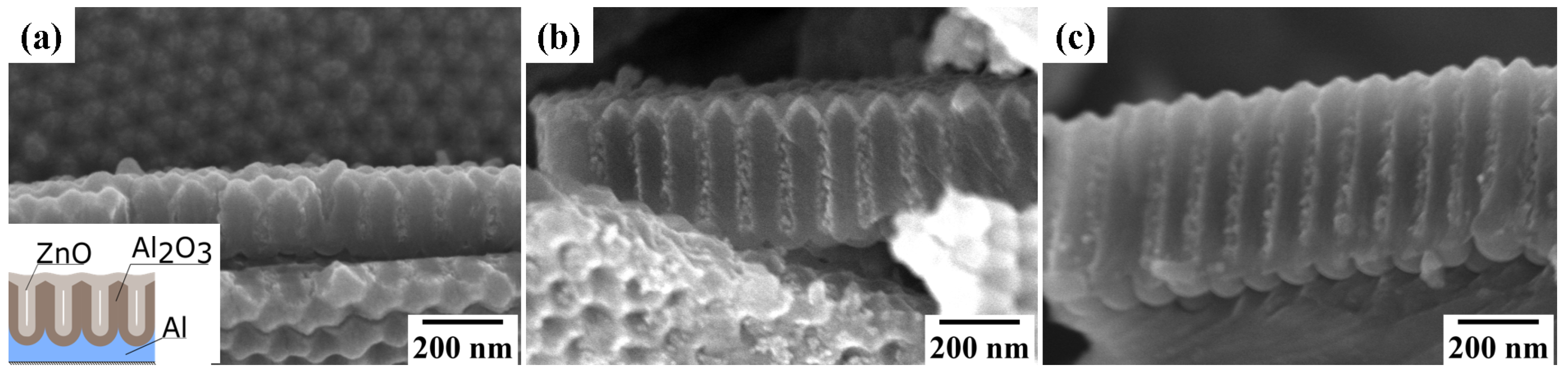 Coatings 11 00756 g001 550