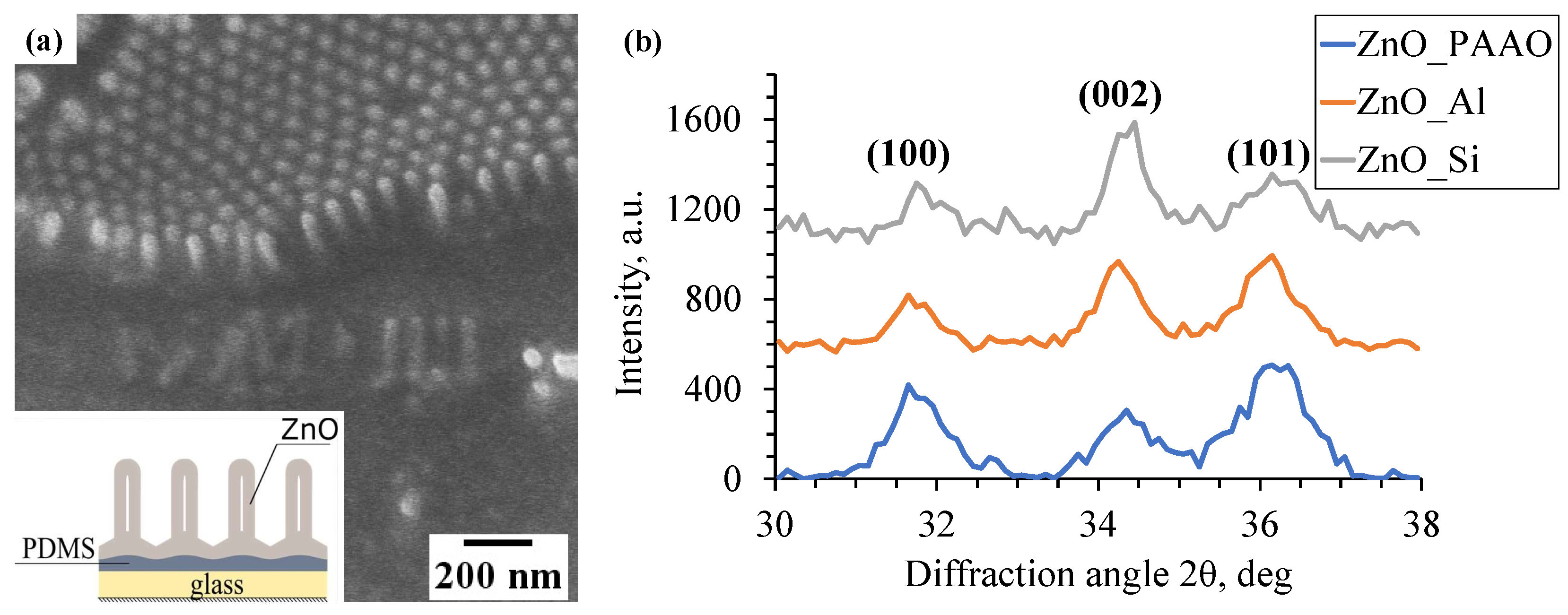 Coatings 11 00756 g002 550