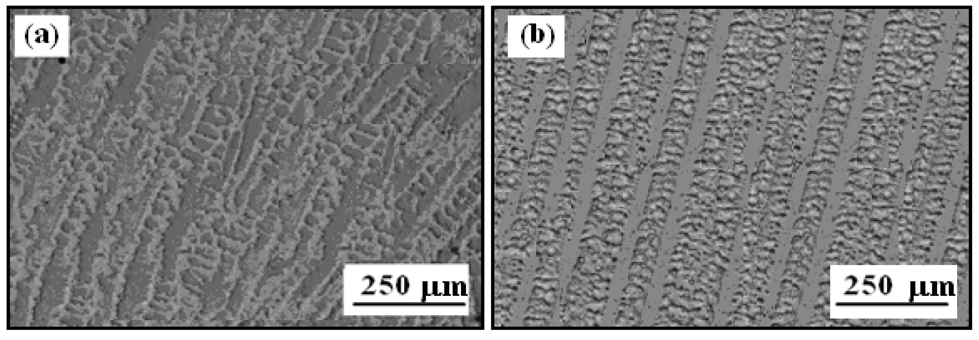 Coatings 11 00759 g002